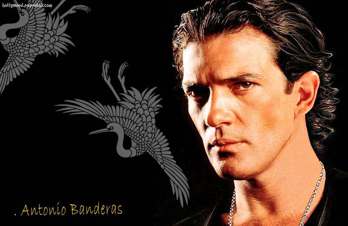 Antonio Banderas, black backdrop, stylized gray cranes, SD Desktop Wallpaper