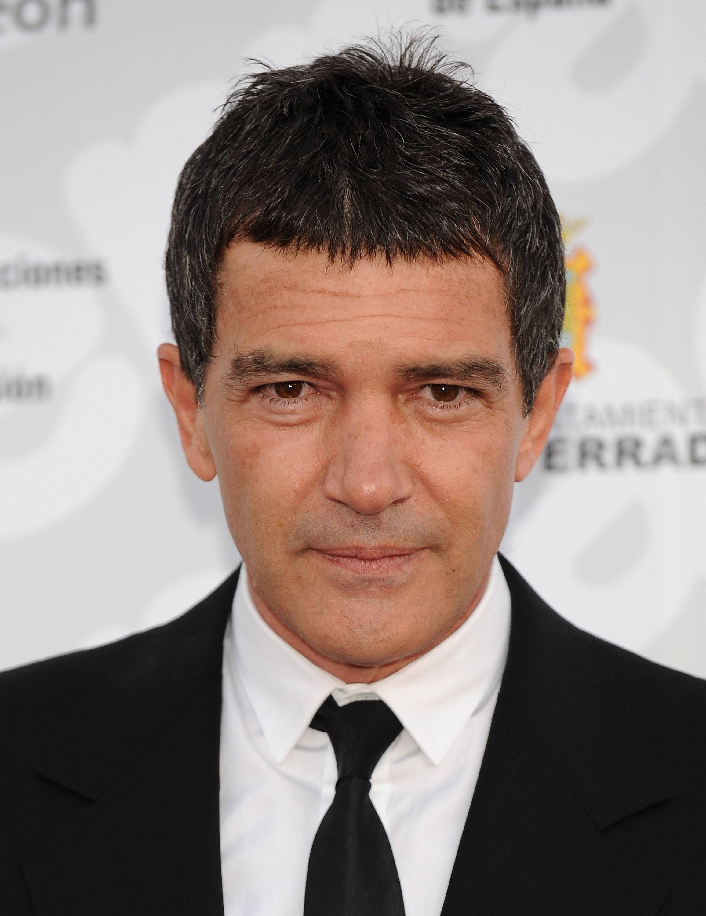 Antonio Banderas, black suit, tie, 2K Phone Wallpaper
