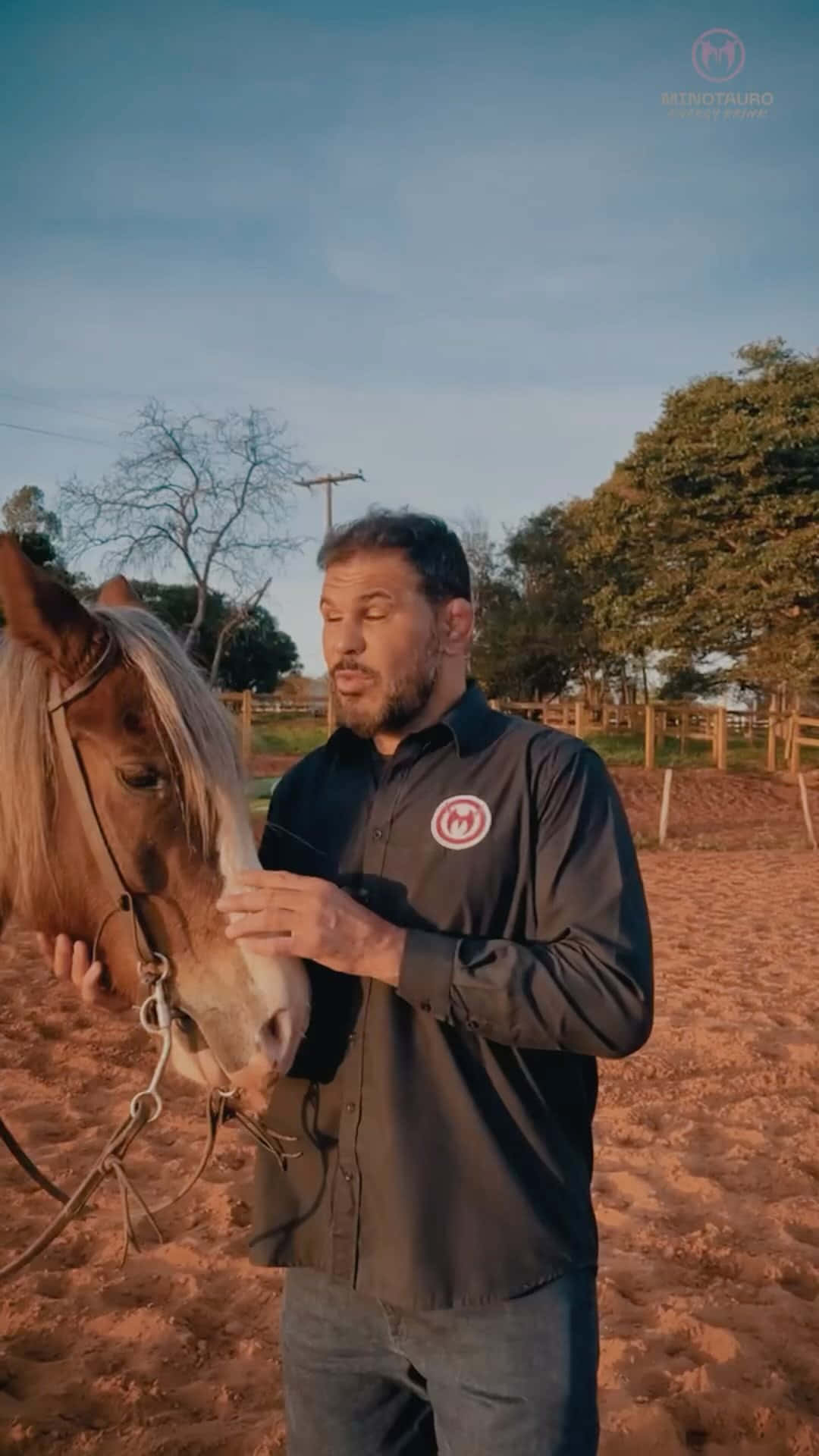Antônio Rodrigo Nogueira, brown horse, sunlit sandy paddock, Full HD Phone Wallpaper