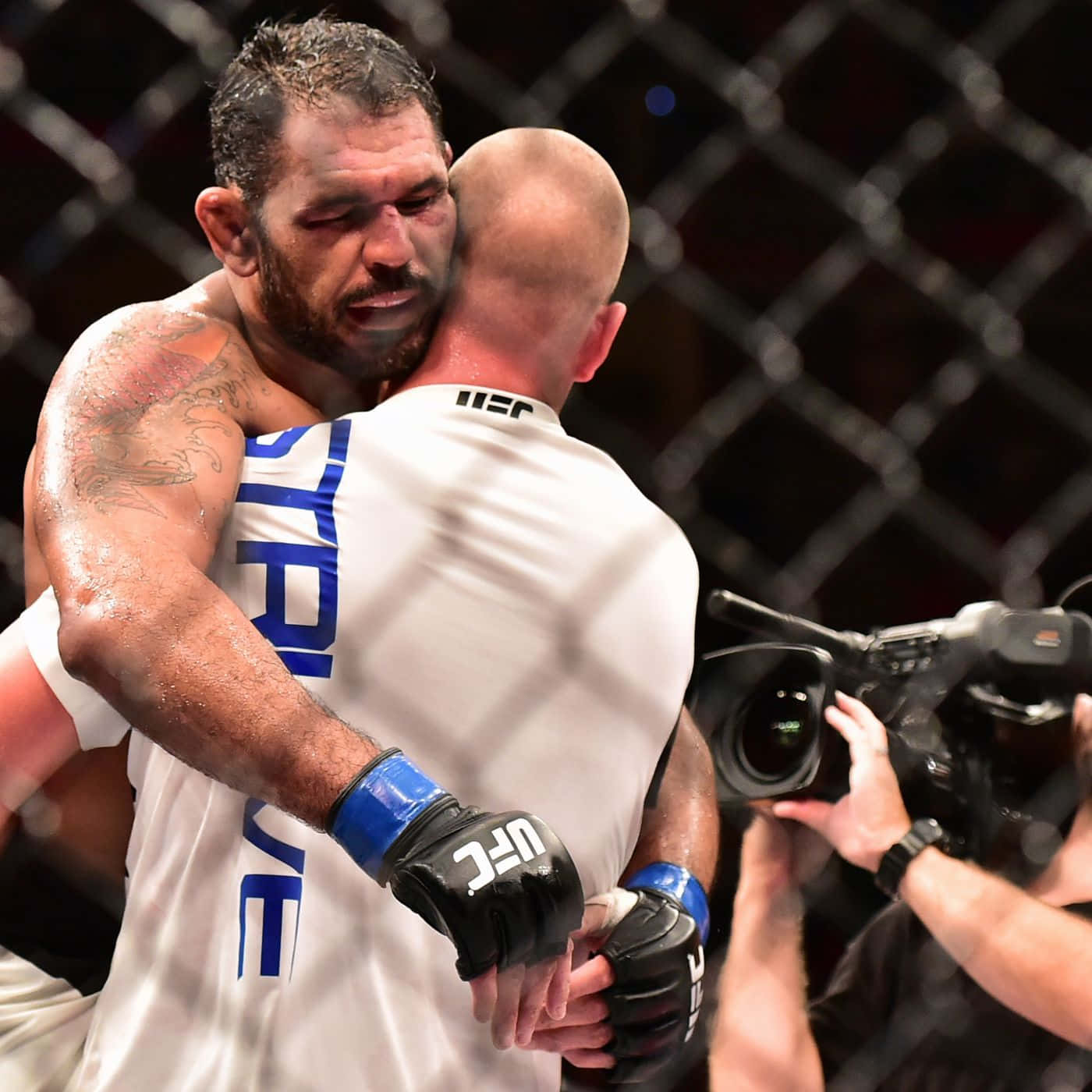 Antonio Rogerio Nogueira, MMA fighter, cage, HD Desktop Wallpaper
