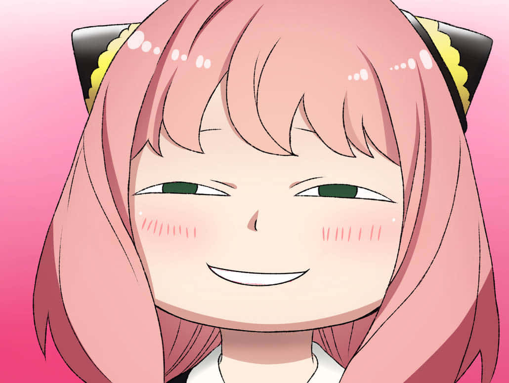 Anya Forger, pink hair, cat ears, SD Desktop Wallpaper
