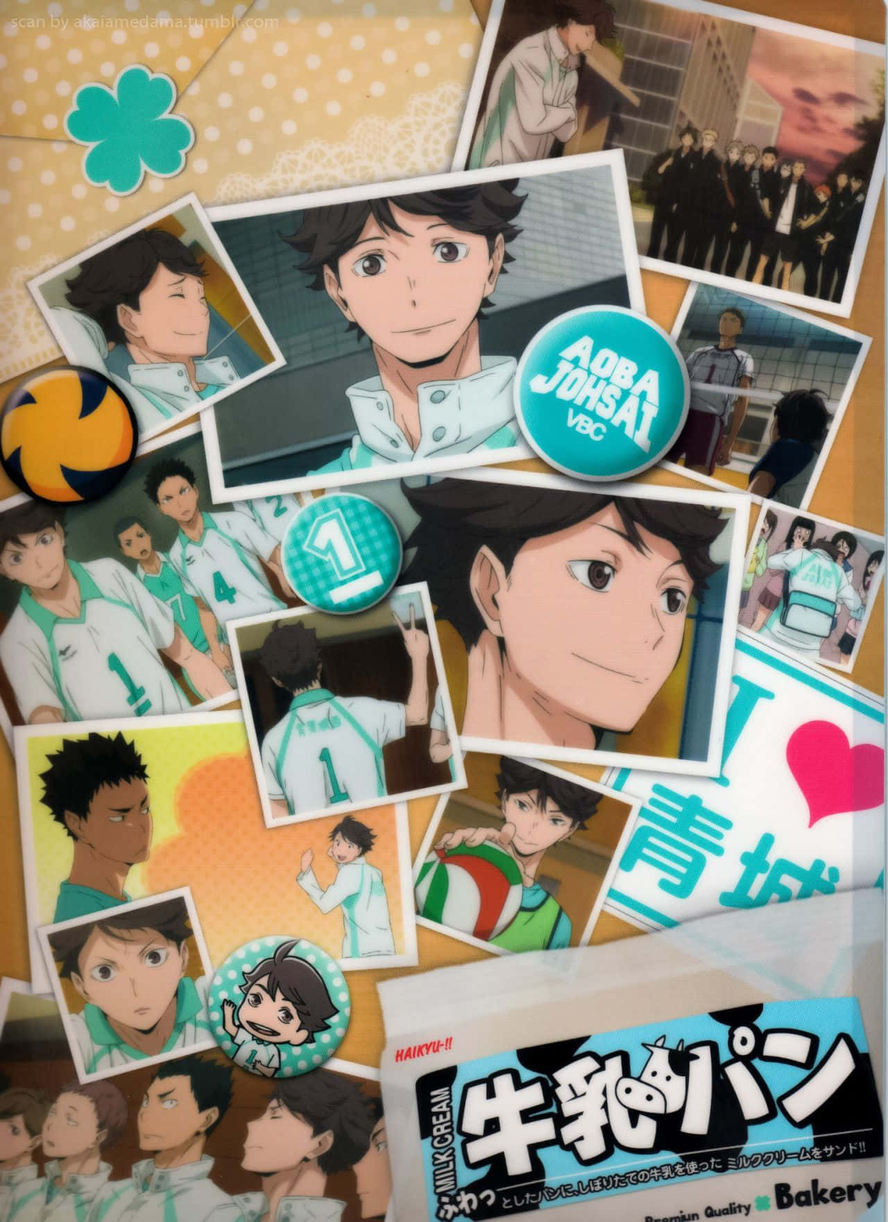 Aoba Johsai, anime volleyball player, photos, HD Phone Wallpaper