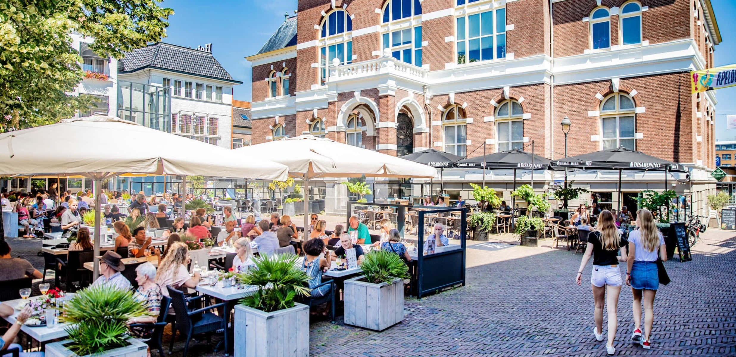 Apeldoorn, outdoor cafe scene, white umbrellas, Full HD Desktop Wallpaper