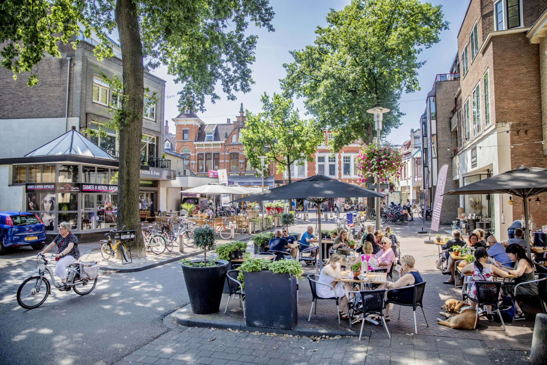 Apeldoorn, sunny day, outdoor cafes, HD Desktop Wallpaper