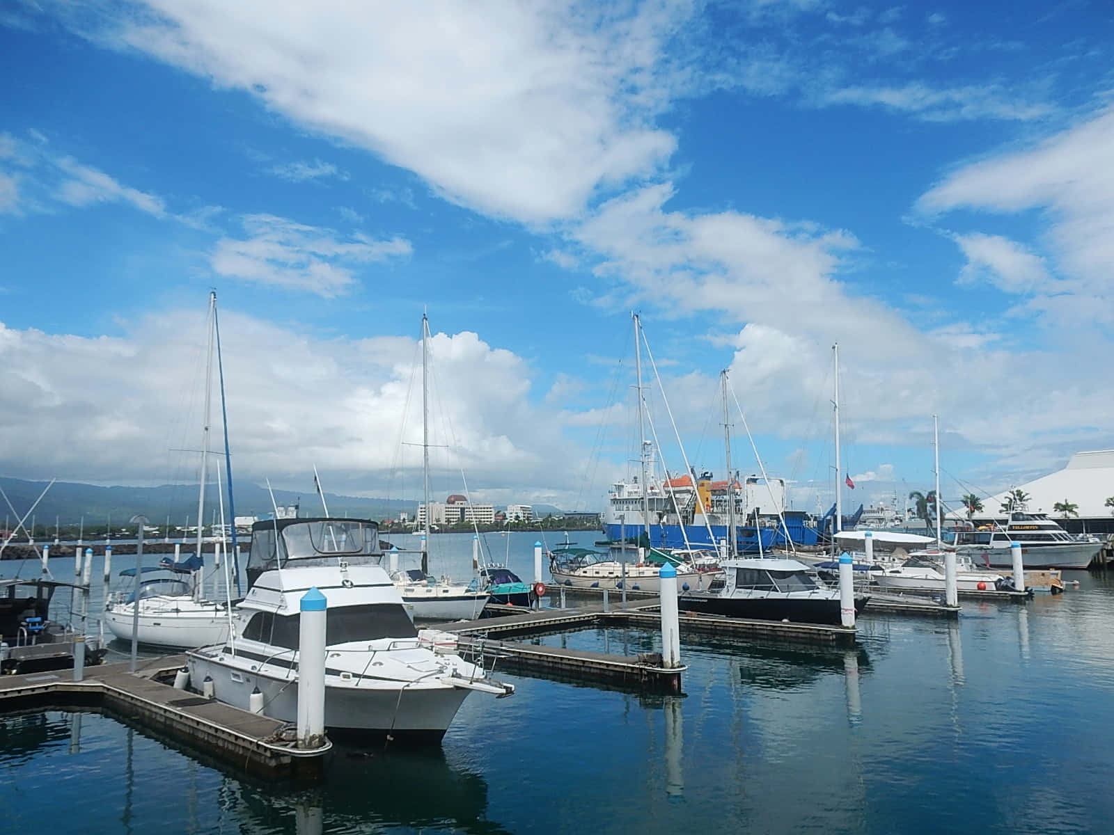 Yachts, Apia, harbor, HD Desktop Wallpaper