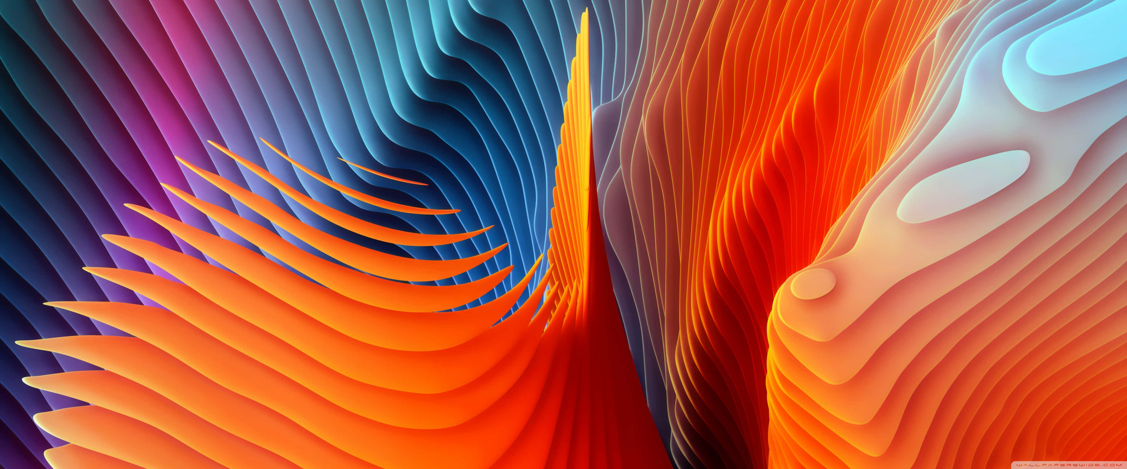 Apple 3840x1600, 3840 x 1600, deep blue, 4K Desktop Wallpaper
