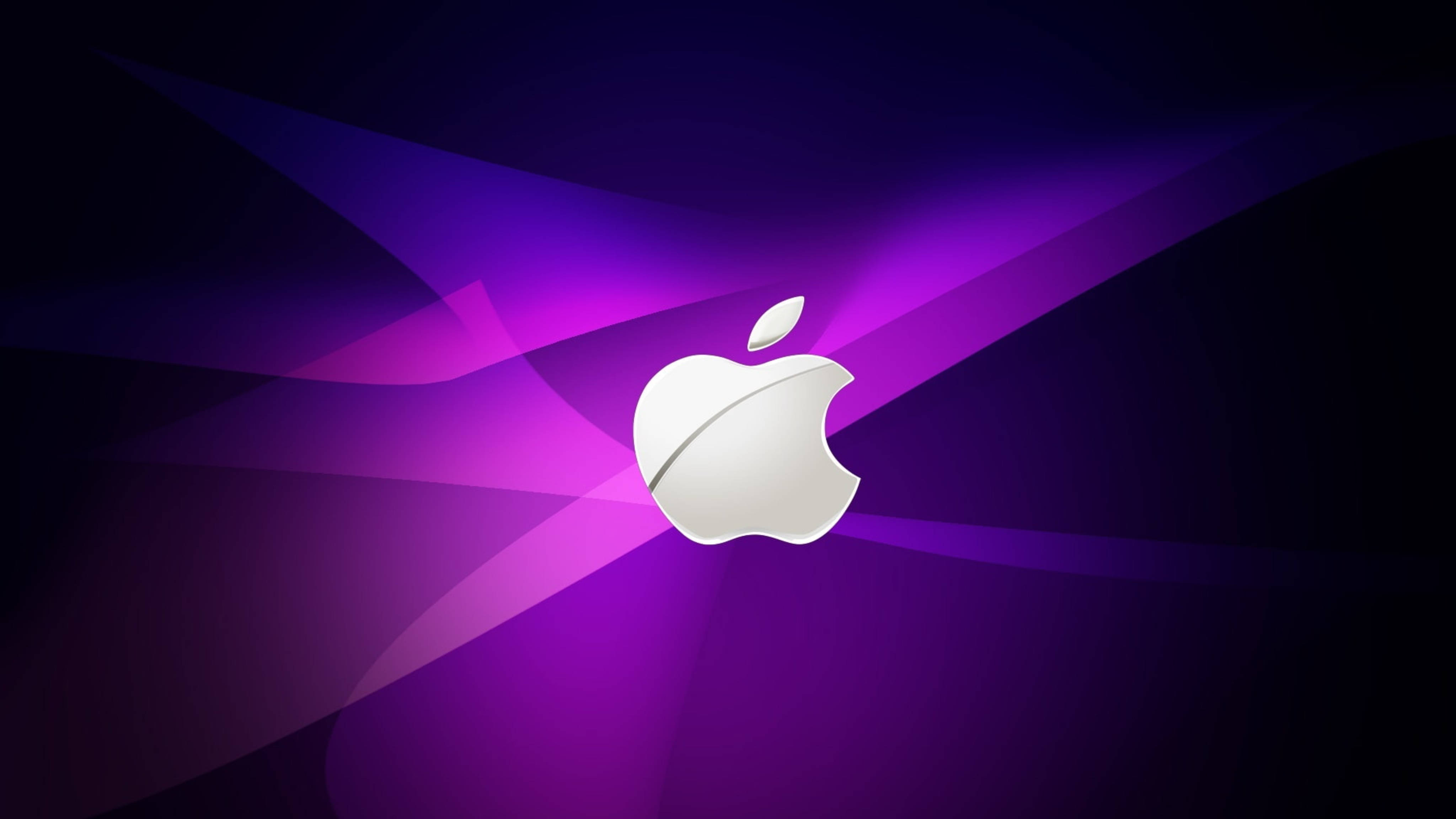 Apple 4K Ultra HD, silver Apple logo, radiant purple, 4K Desktop Wallpaper