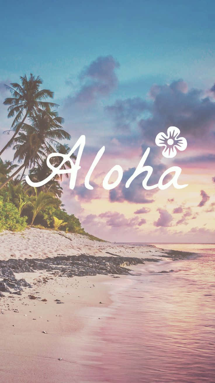 Cute Beach iPhone, sunset, tropical beach, HD Phone Wallpaper