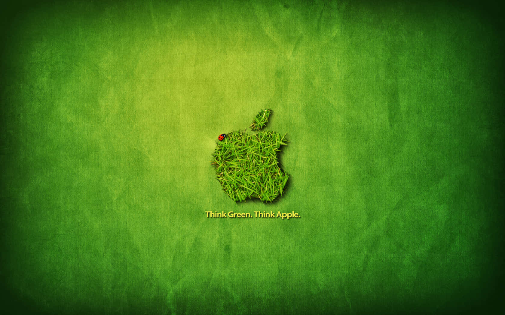 Apple Desktop, Apple logo, ladybug, HD Desktop Wallpaper