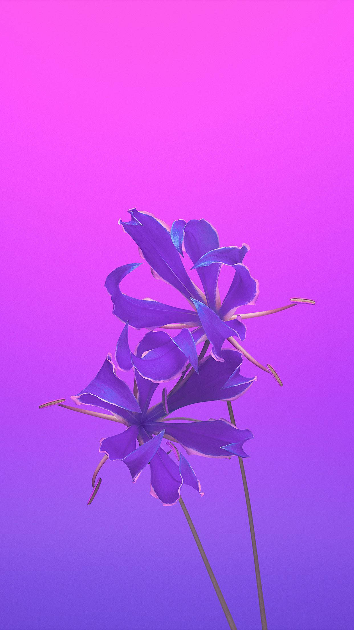 purple gorgeous apple flower, stylized purple flowers, delicate petals, Full HD Phone Wallpaper