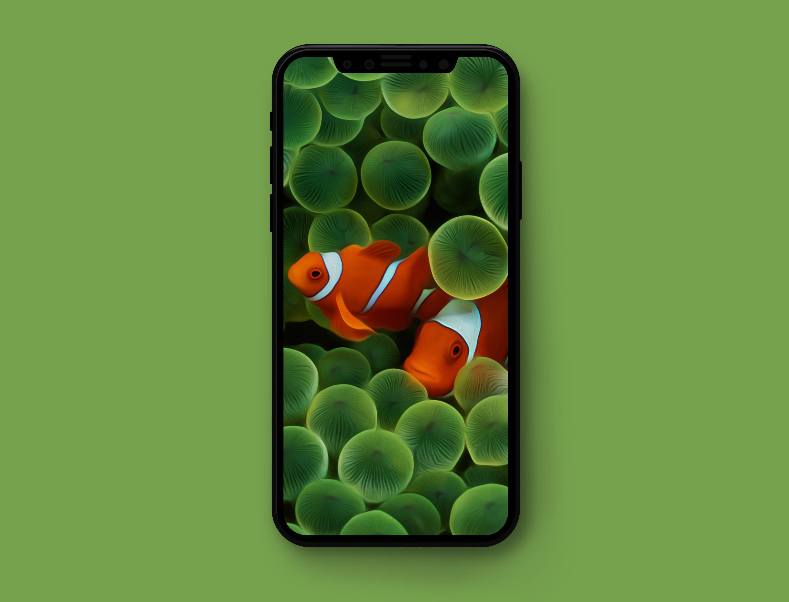 Apple iPhone Default, clownfish, orange, 2K Desktop Wallpaper