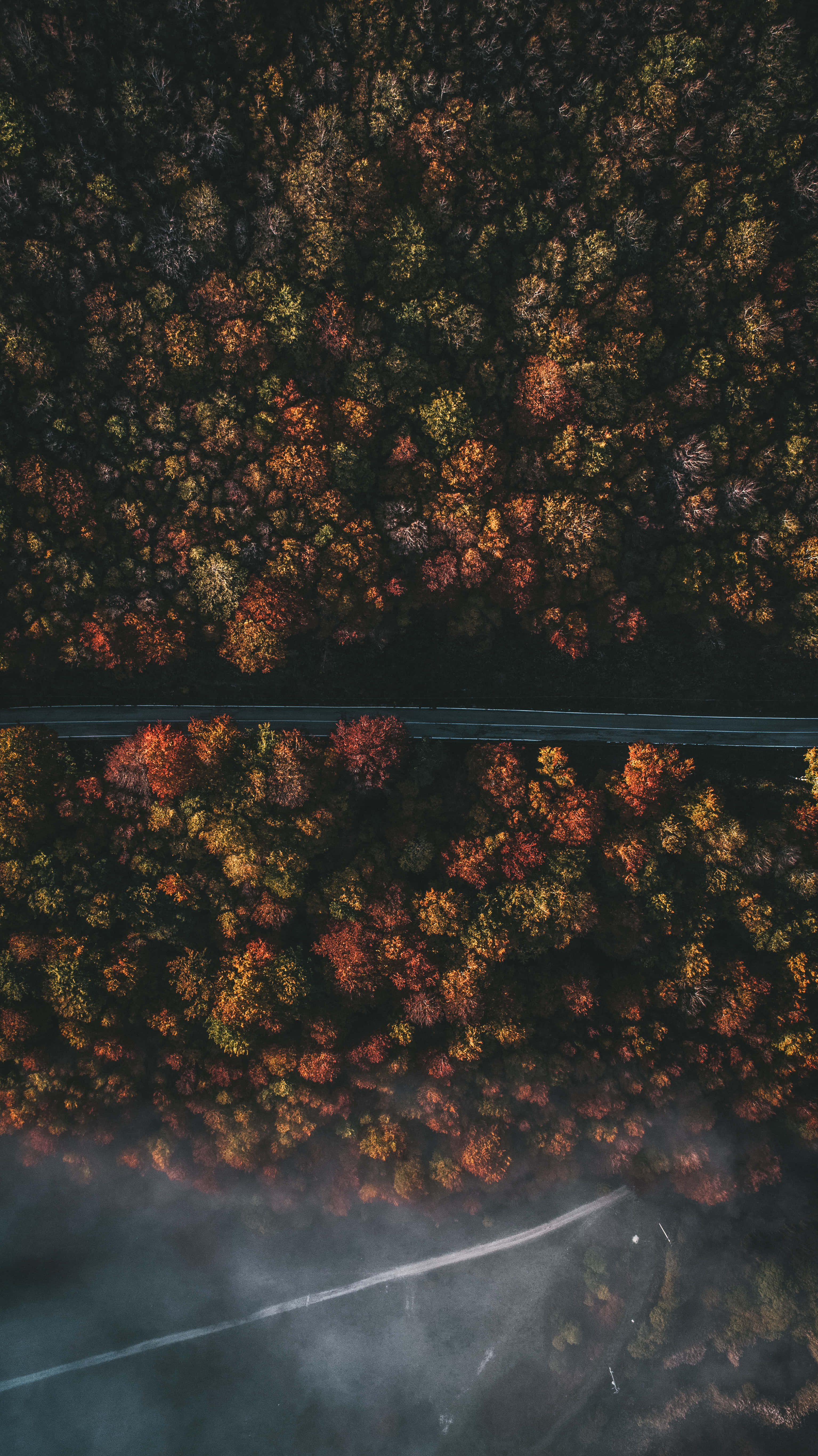 Apple iPhone X, autumn forest, aerial view, 5K Phone Wallpaper