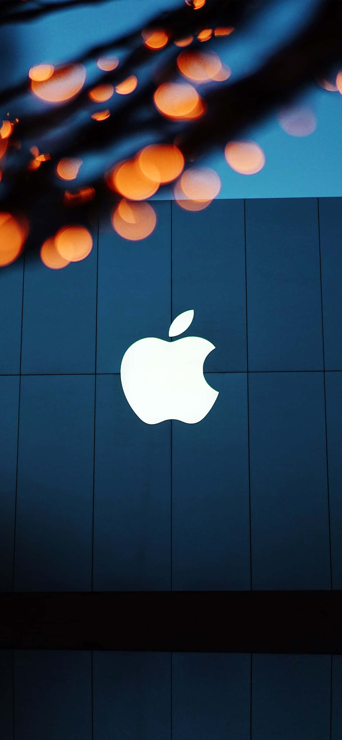 iPhone X, Apple logo, dark blue, Full HD Phone Wallpaper