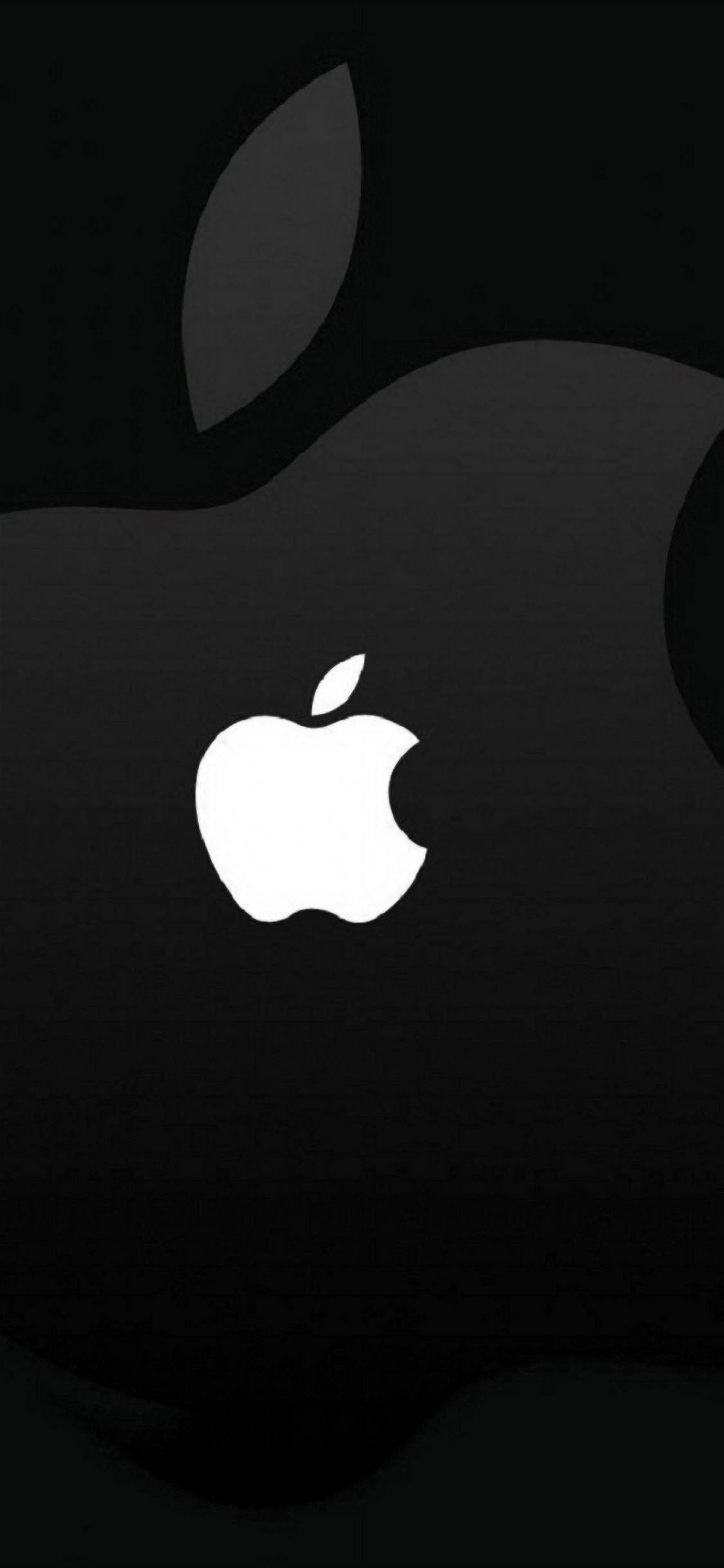 White Apple Logo, iPhone, black, Full HD Phone Wallpaper