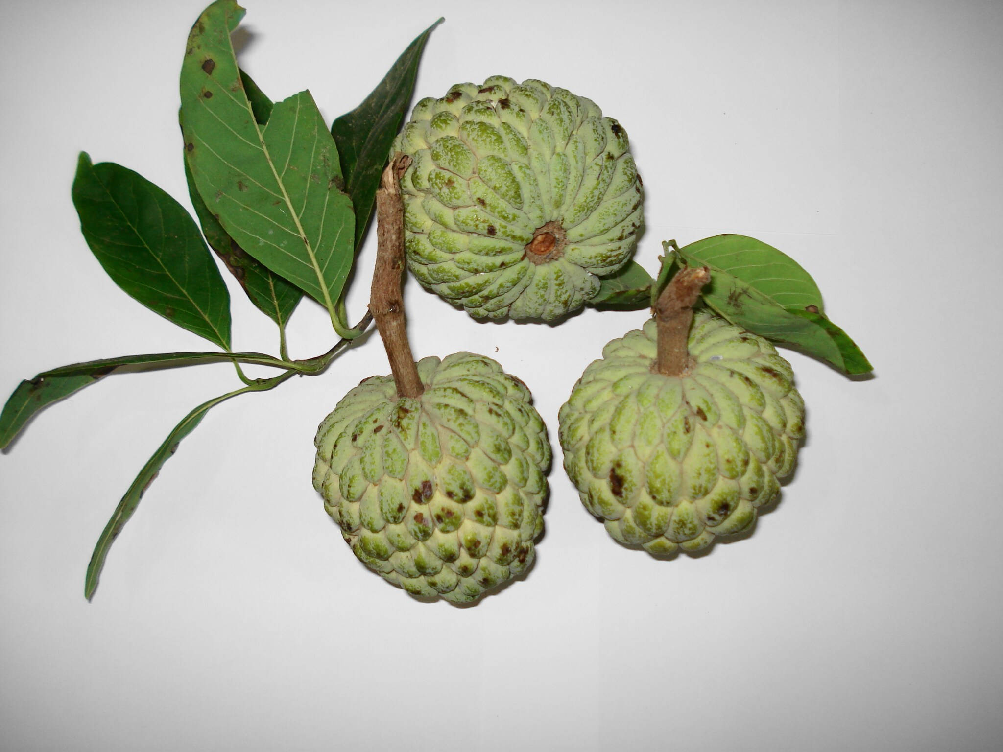 custard apples, green, textured skin, Full HD Desktop Wallpaper