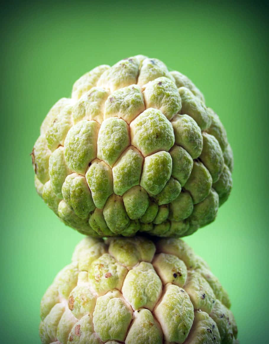 custard apple green, custard apples, soft green gradient background, SD Phone Wallpaper