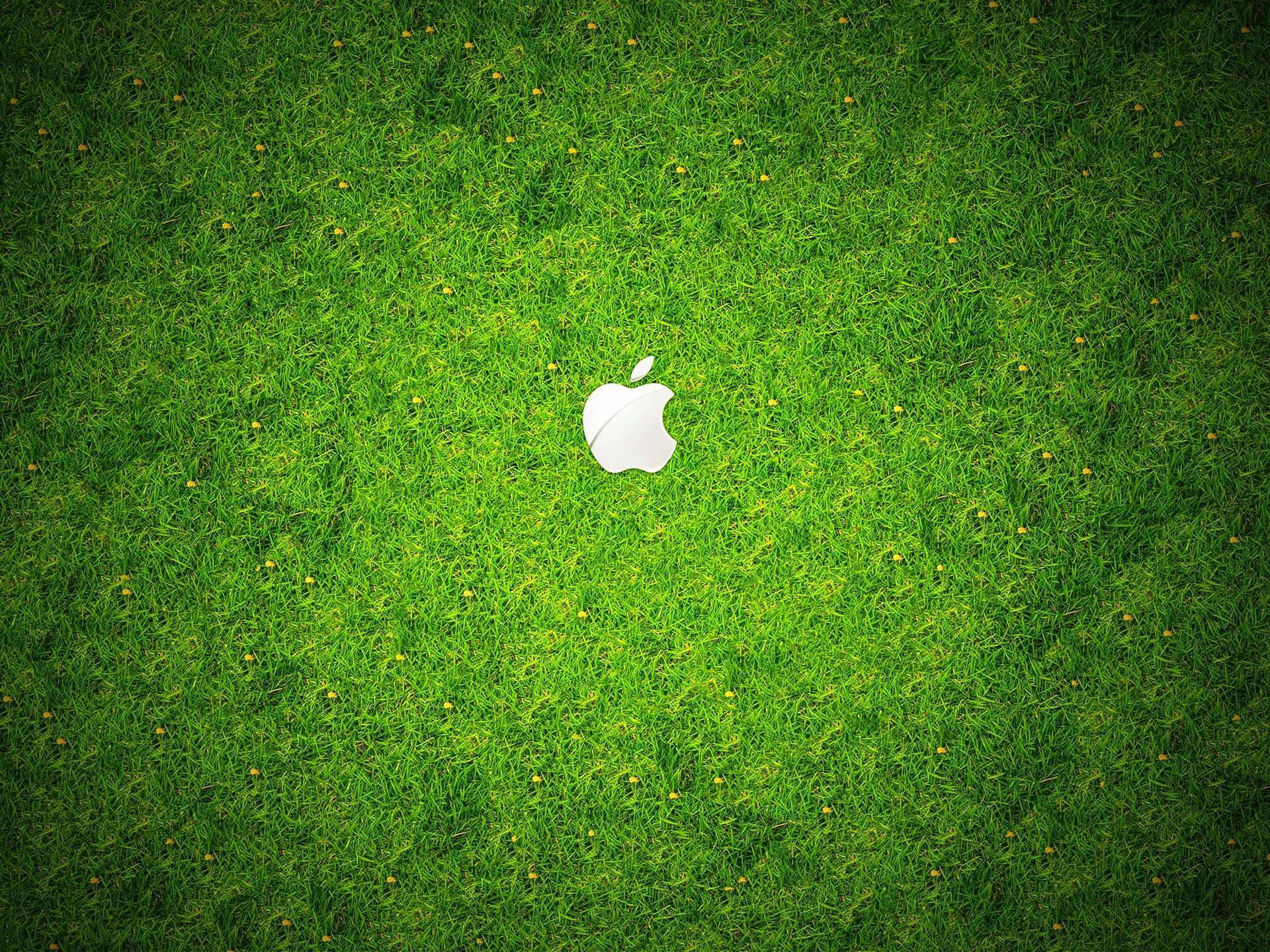 Apple logo, white Apple logo, lush green grassy field, Full HD Desktop Wallpaper