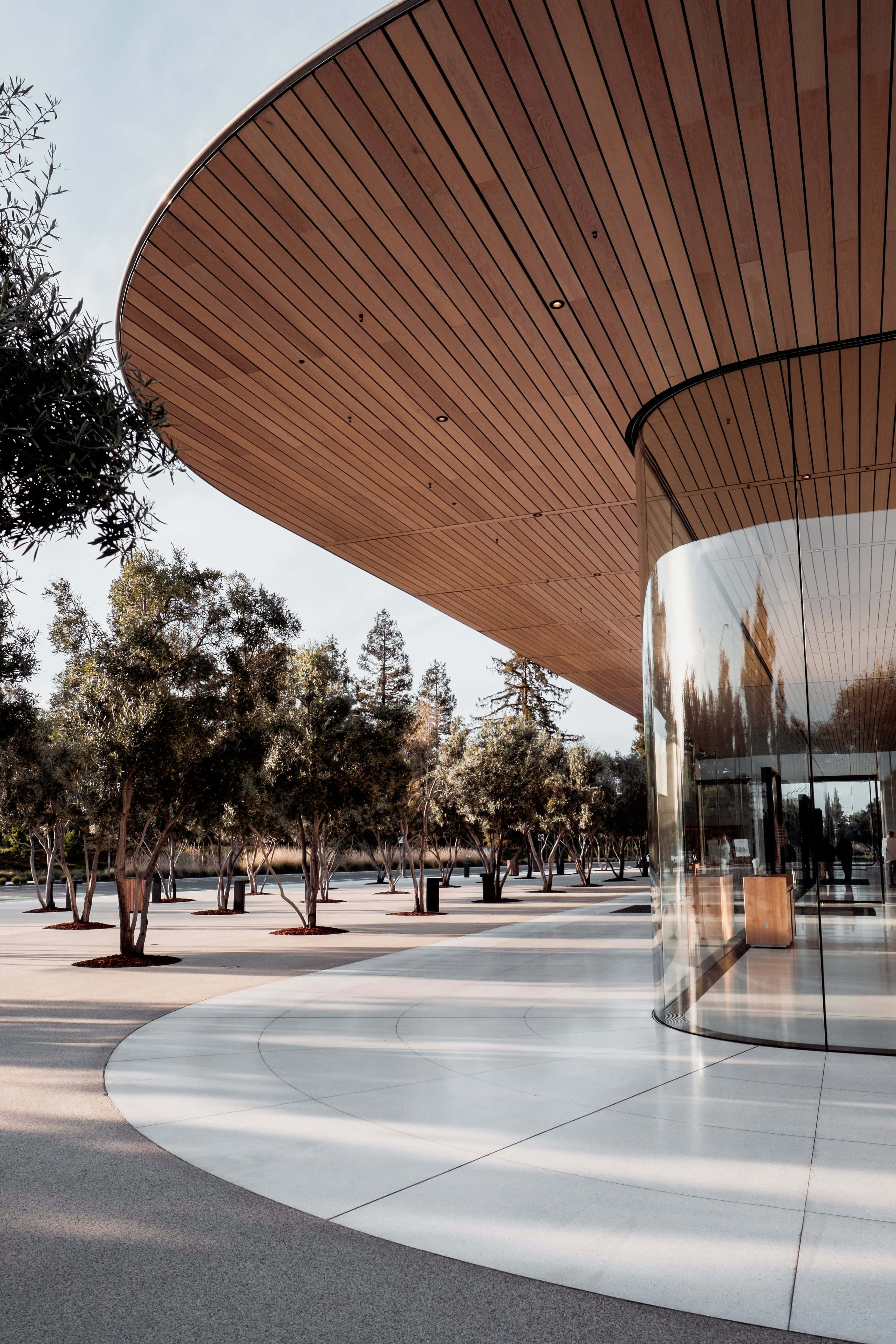 Apple Park, curved wooden roof, glass building, 4K Phone Wallpaper