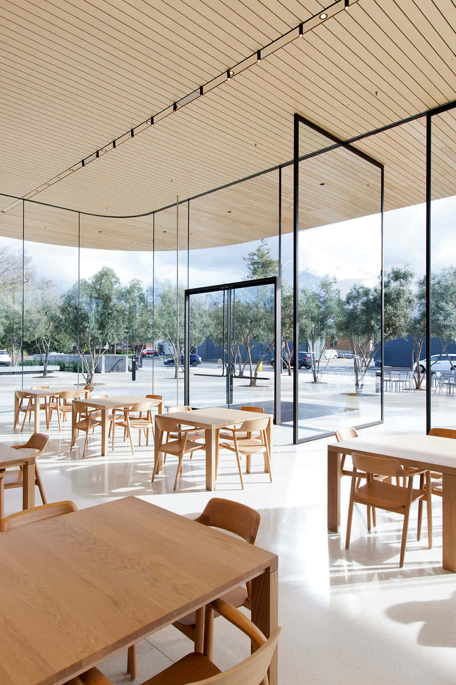 Apple Park, aerial view, sunny outdoor plaza, HD Phone Wallpaper