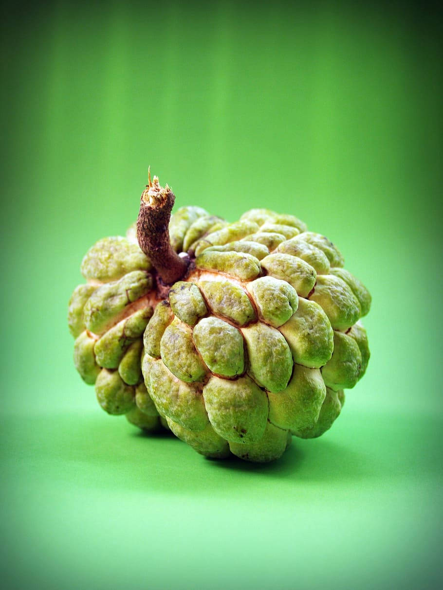 custard apple, green, bumpy skin, SD Phone Wallpaper