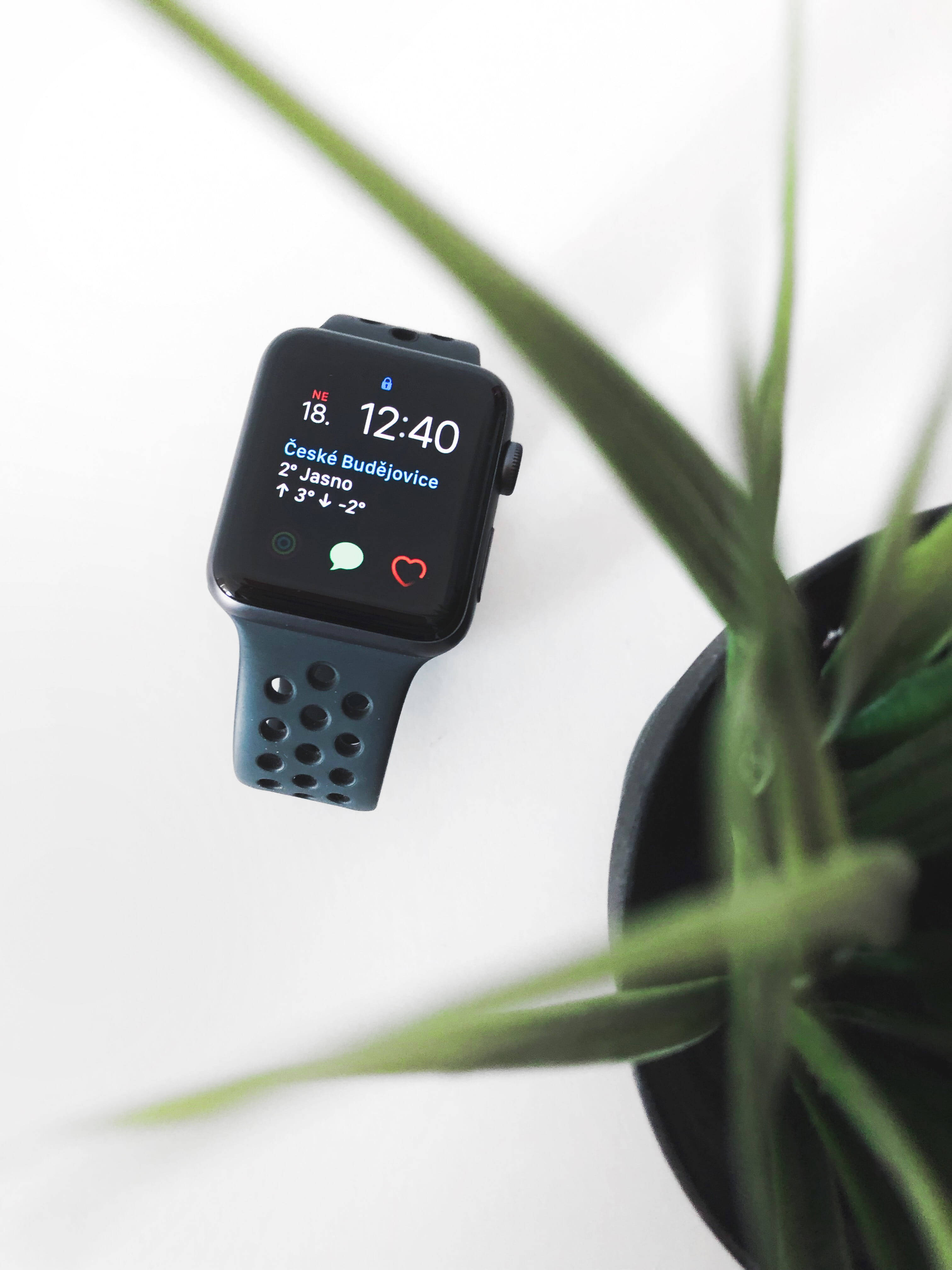 Apple Watch, dark band, green potted plant, 4K Phone Wallpaper