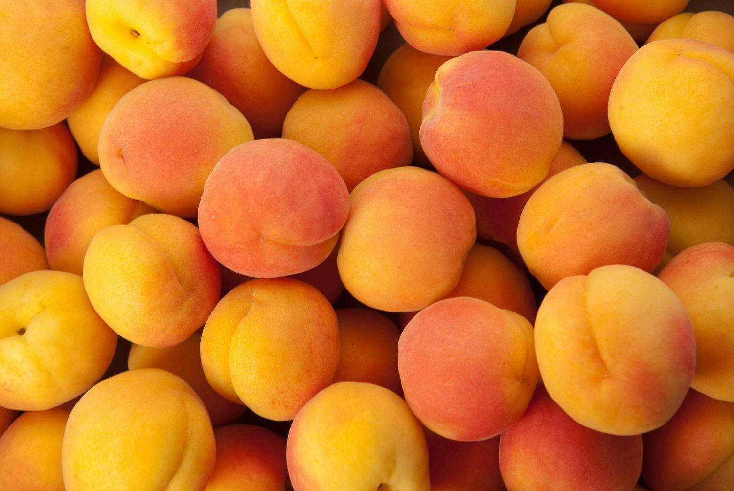 ripe apricots, peachy orange hues, subtle blush tones, HD Desktop Wallpaper
