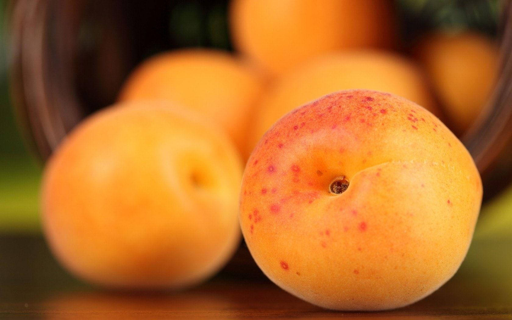red dotted background, ripe apricot, red speckles, HD Desktop Wallpaper