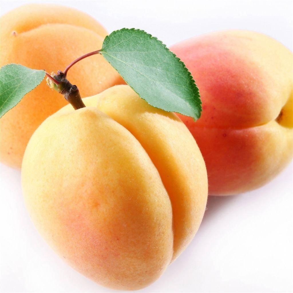 Big Yellow Apricot Fruits, apricots, peachy-orange skin, SD Desktop Wallpaper