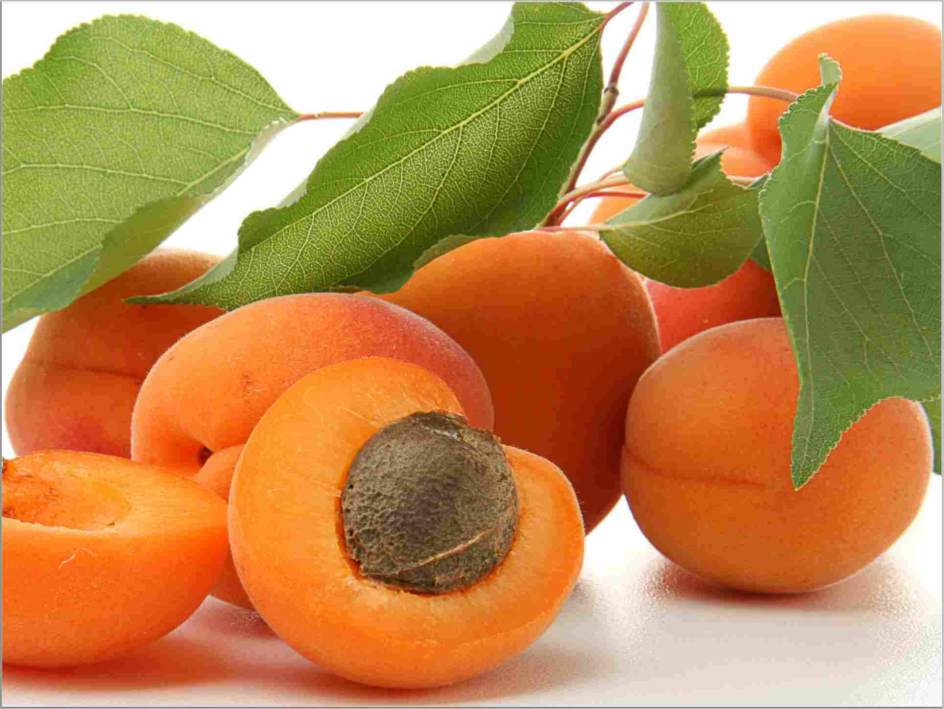 fleshy apricot fruits, ripe apricots, green leaves, Full HD Desktop Wallpaper