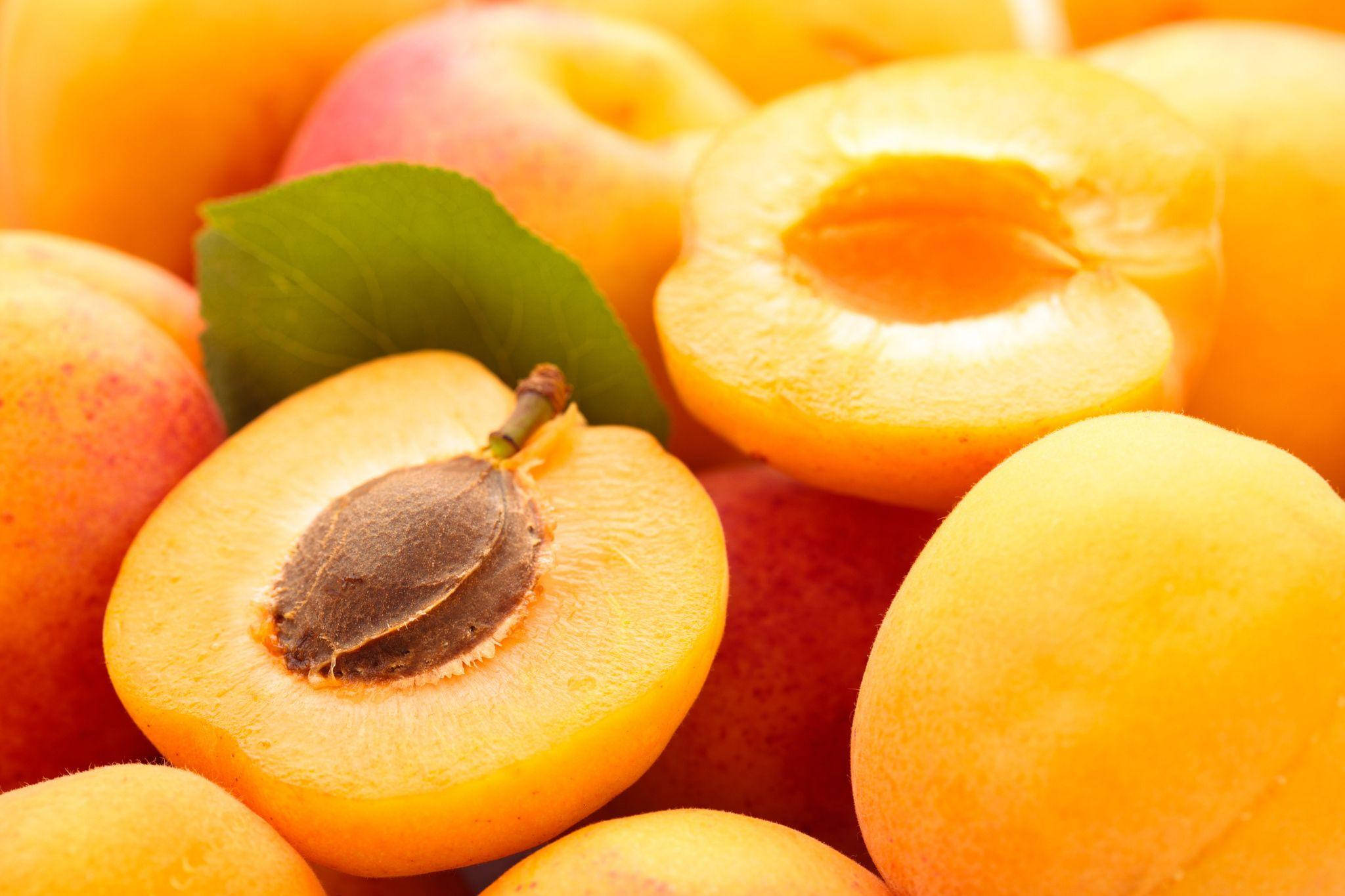 ripe apricot fruits, vibrant orange flesh, single green leaf, Full HD Desktop Wallpaper