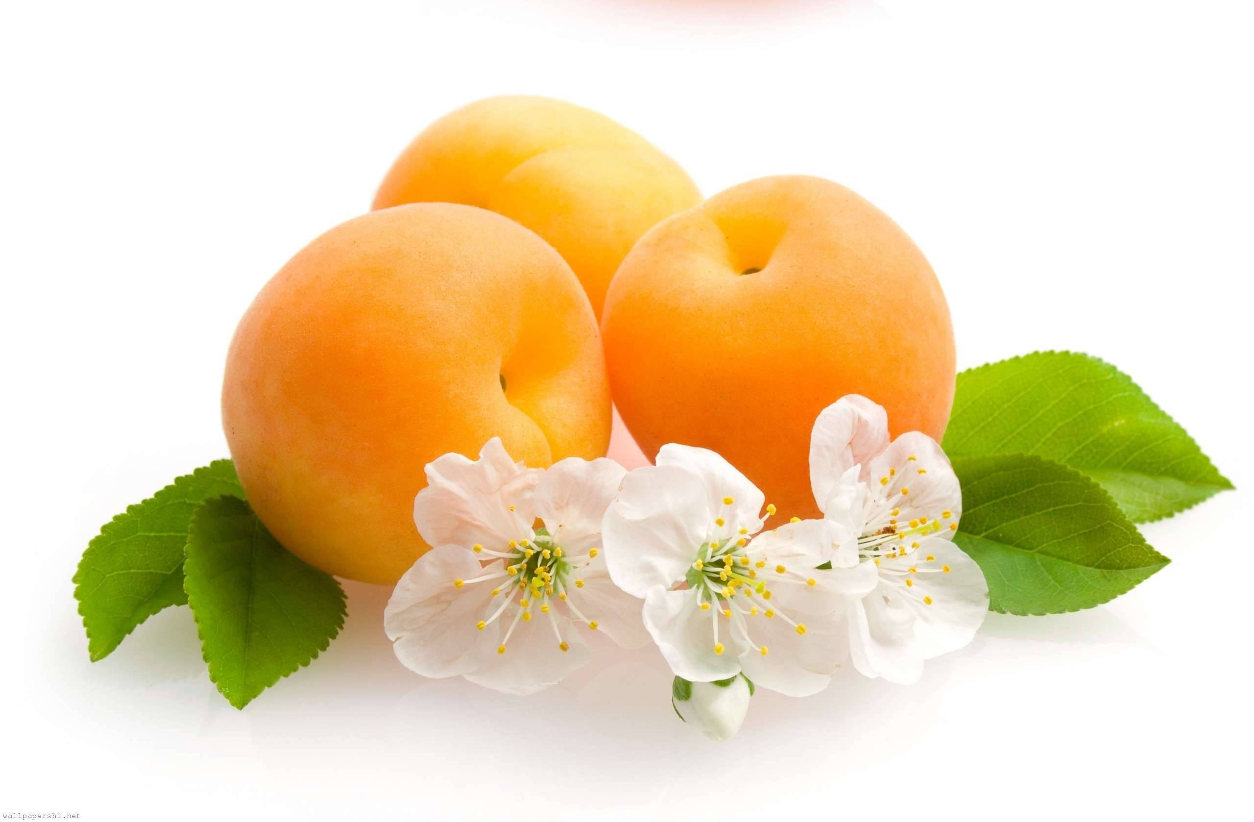 apricot fruits, white blossoms, green leaves, 2K Desktop Wallpaper