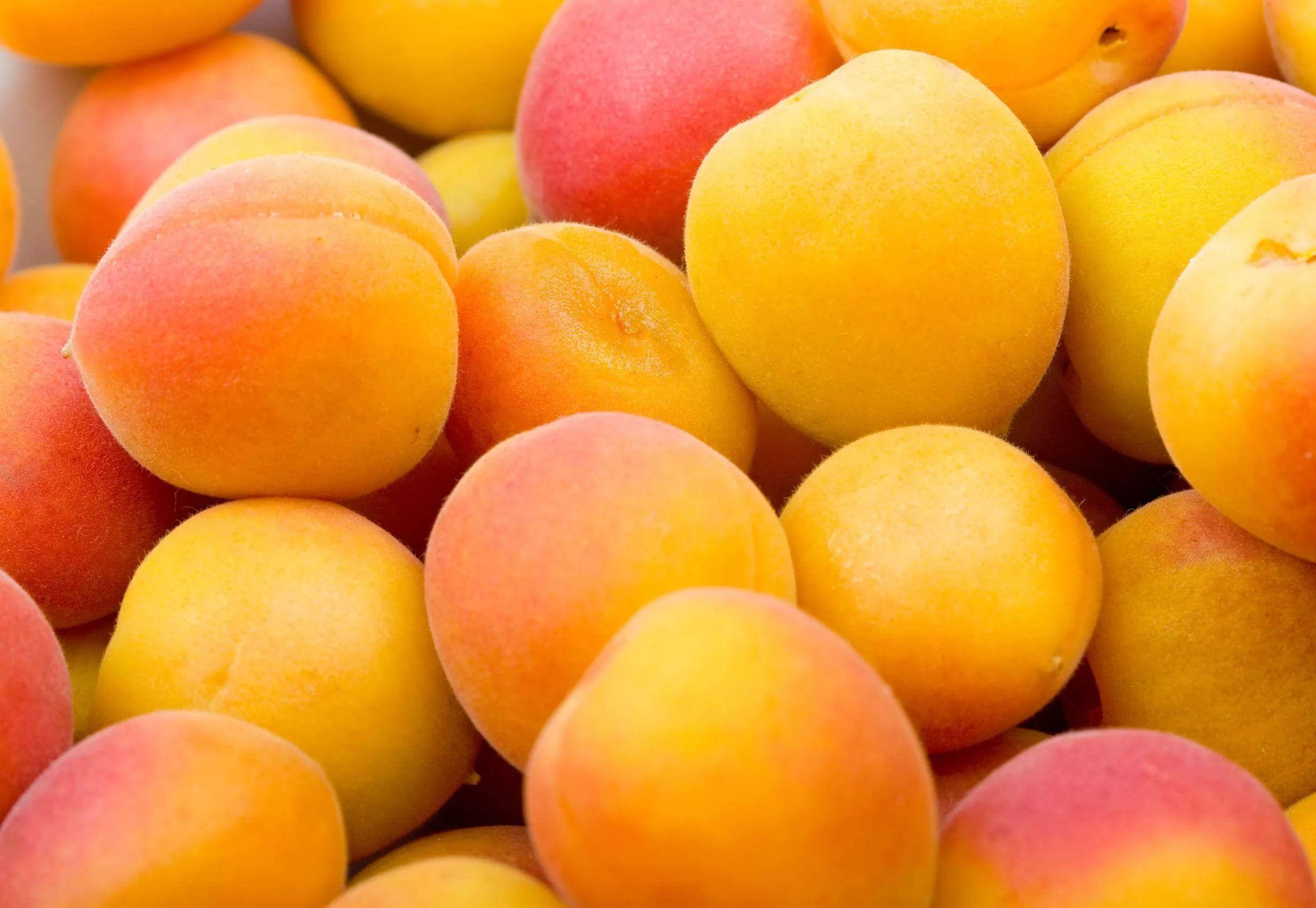 freshly harvested apricots, golden yellow, blush pink, Full HD Desktop Wallpaper