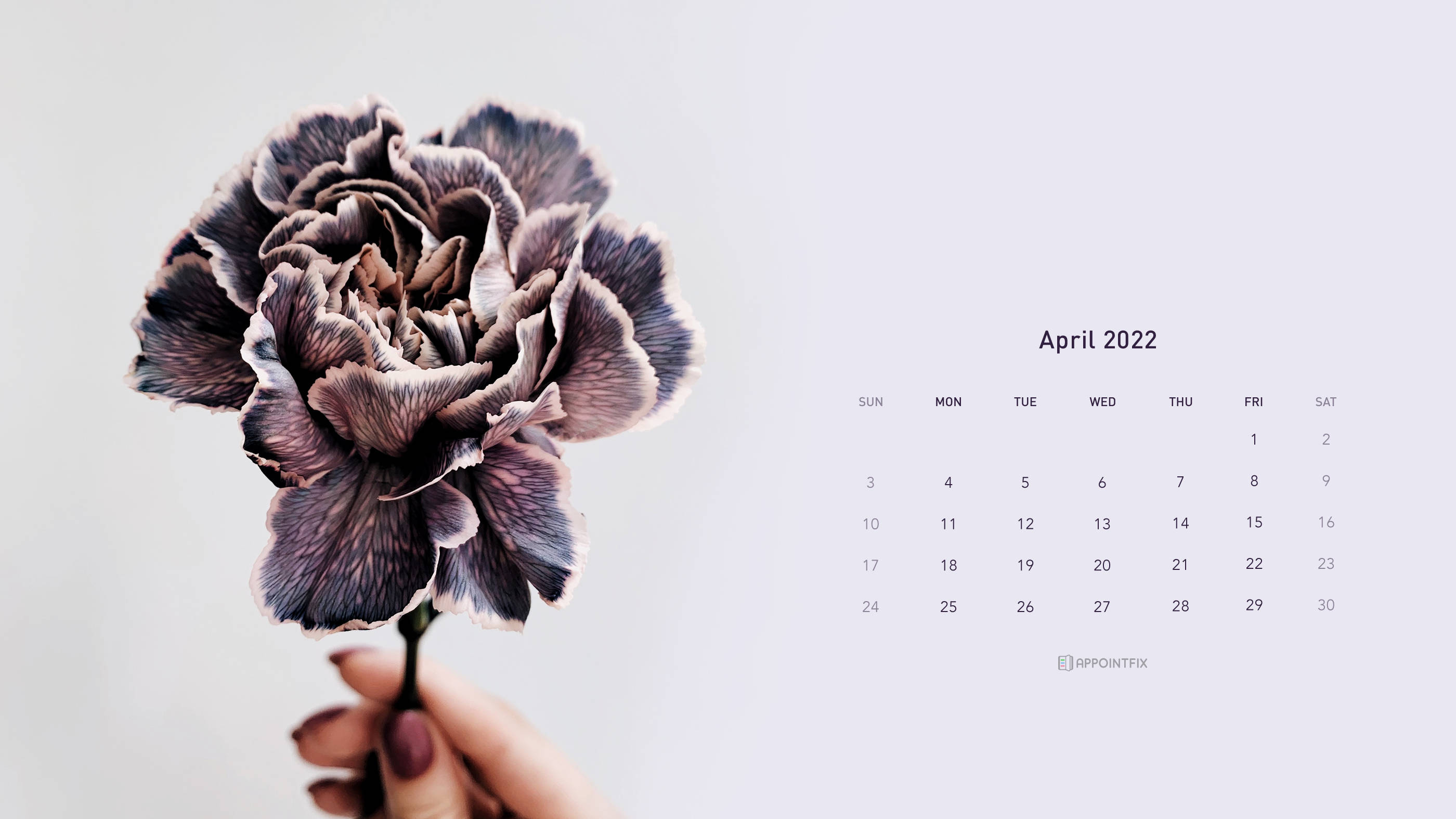 April 2022 Calendar, purple flower, textured, 2K Desktop Wallpaper