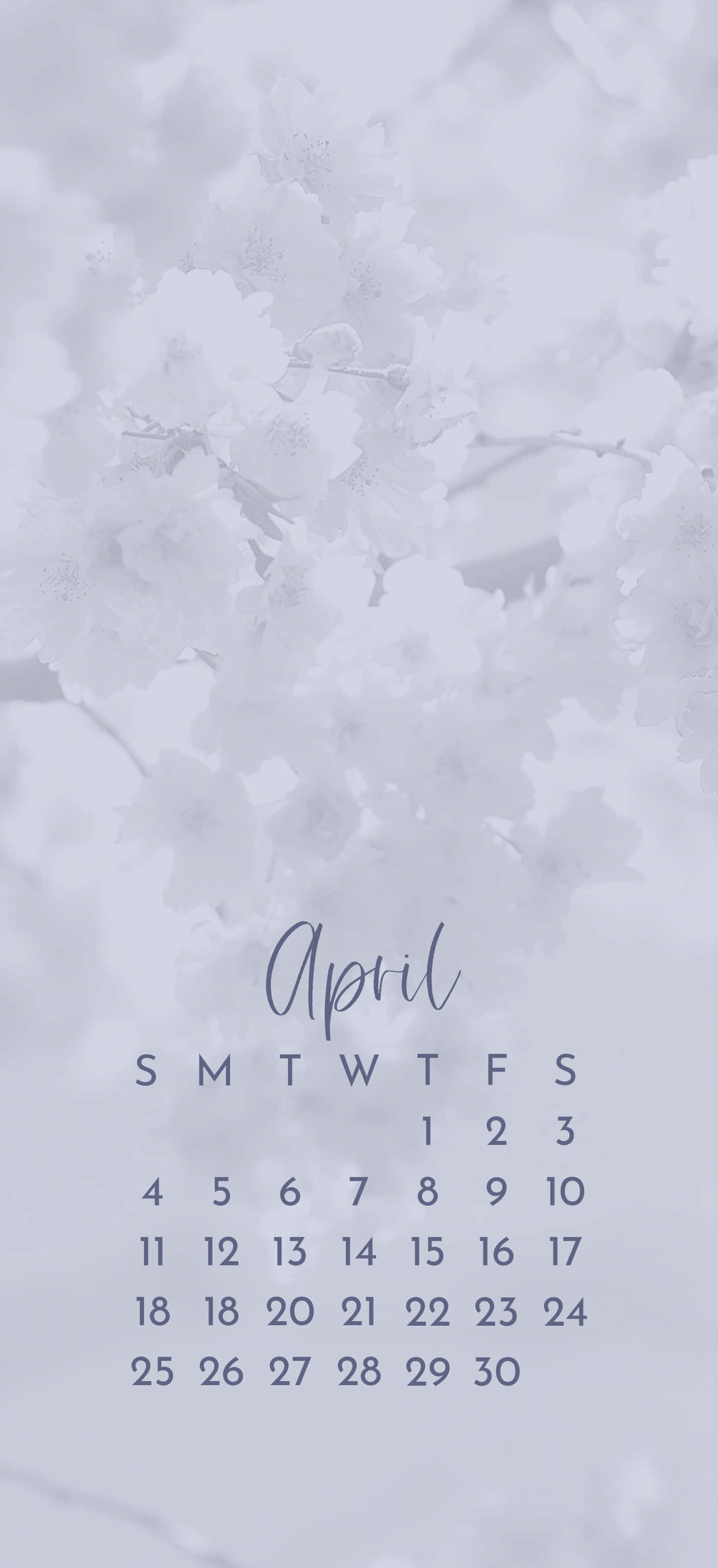 Snowy April Calendar, lavender, white cherry blossoms, 2K Phone Wallpaper