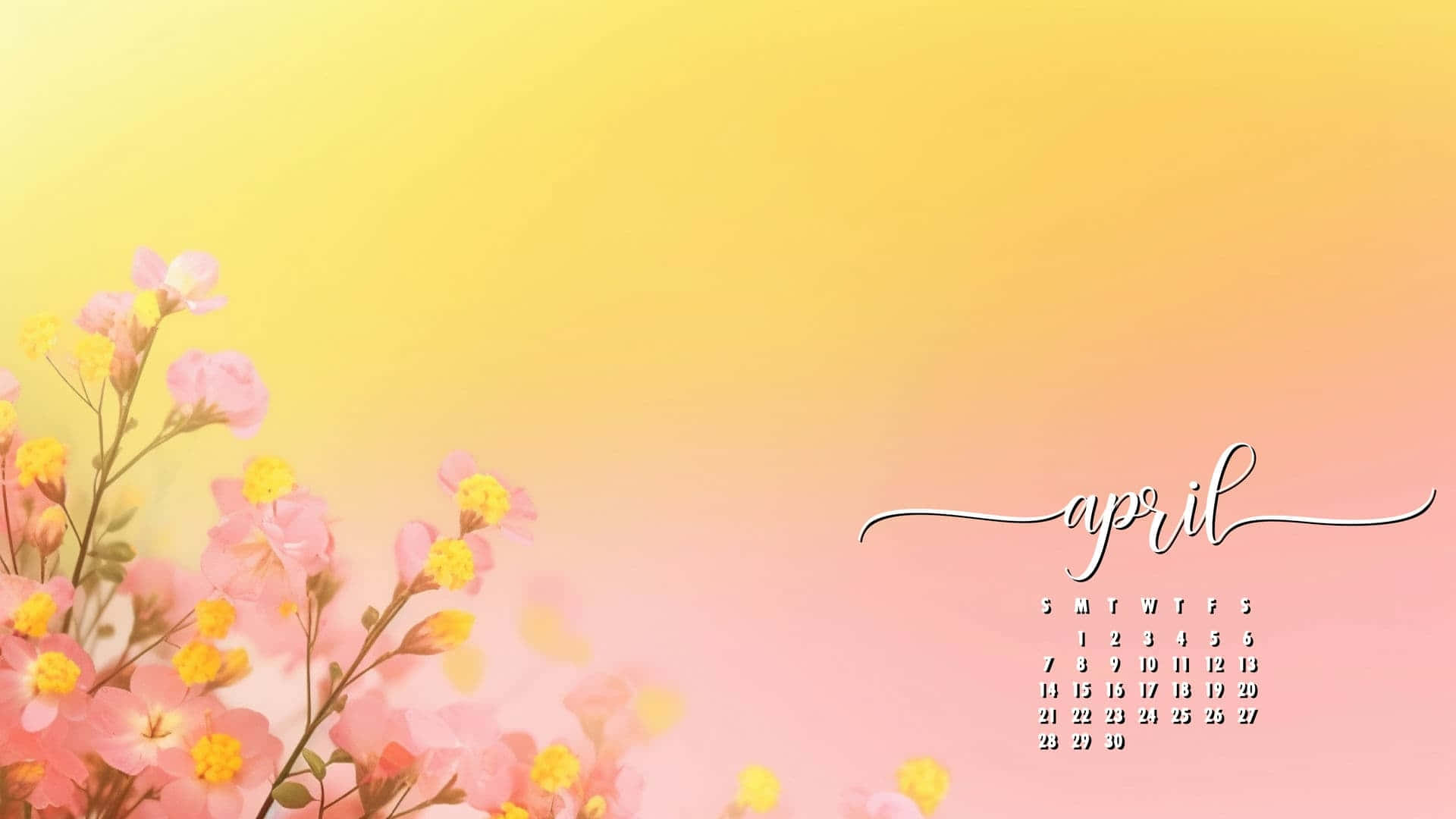 April calendar, pink and yellow blossoms, soft gradient yellow to pink background, Full HD Desktop Wallpaper