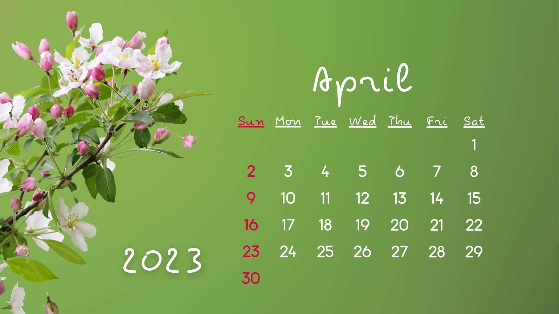 April 2023 Calendar, pink flowers, white flowers, Full HD Desktop Wallpaper