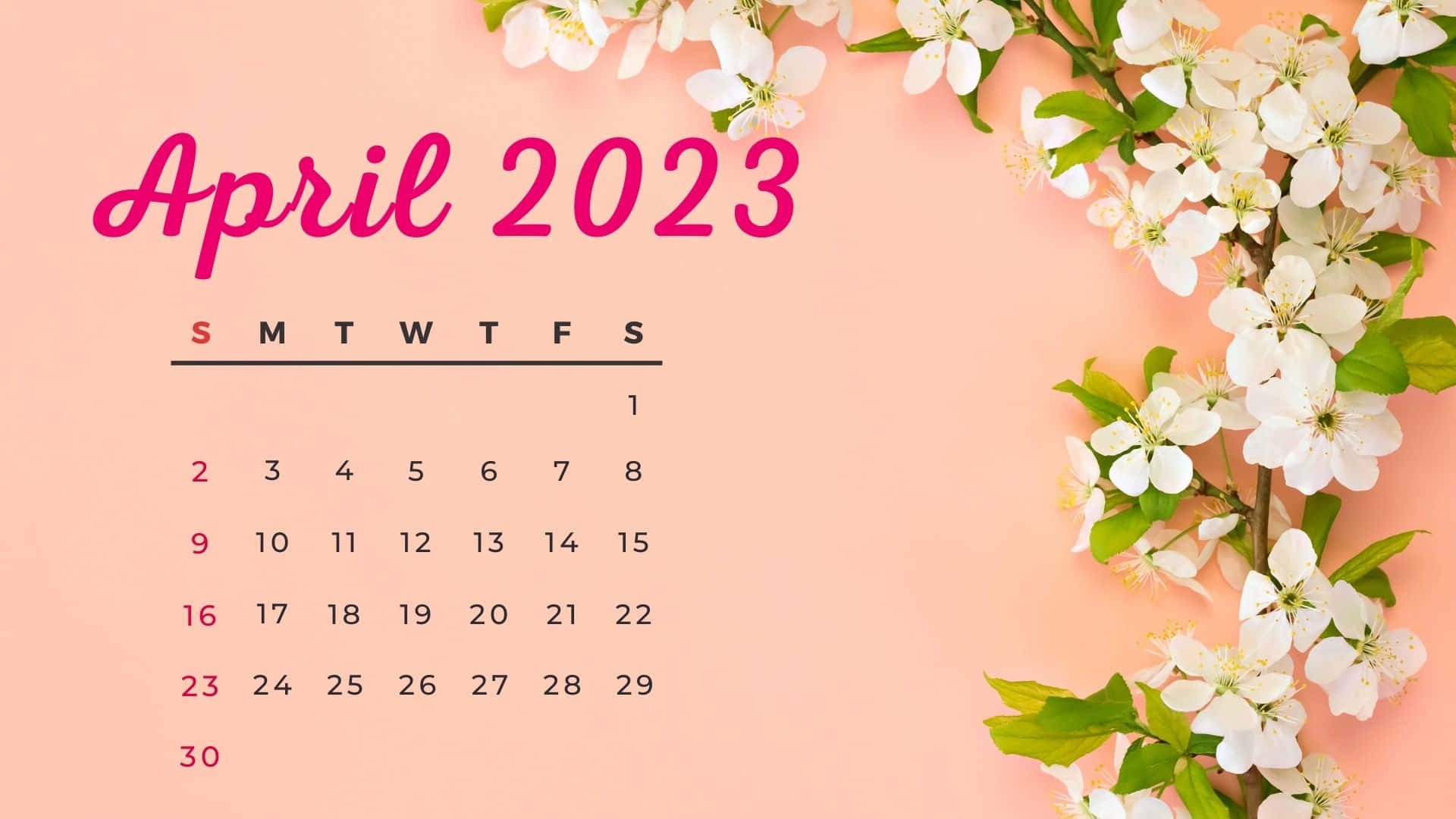 April 2023 calendar, white blossoms, green leaves, Full HD Desktop Wallpaper