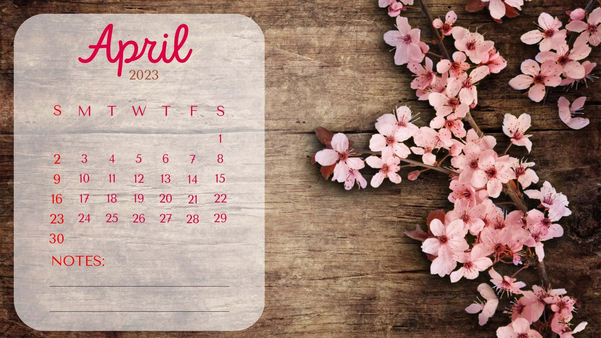 April 2023 calendar, pink cherry blossoms, rustic wood background, Full HD Desktop Wallpaper