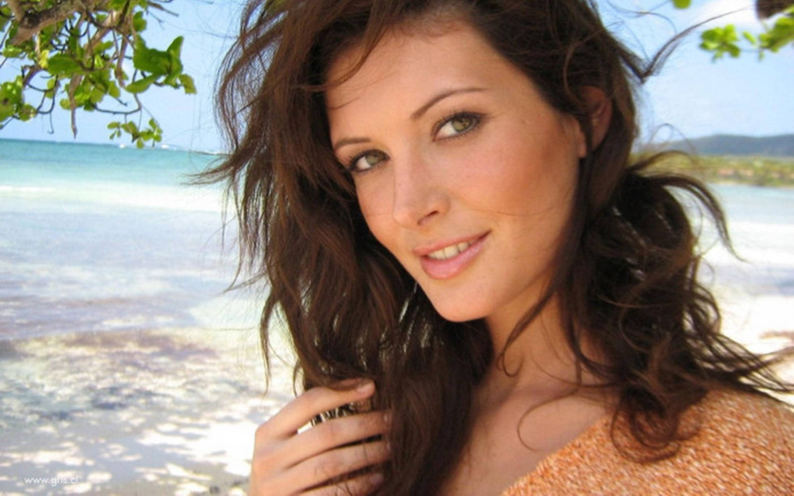 April Bowlby, beach, sunlit, HD Desktop Wallpaper