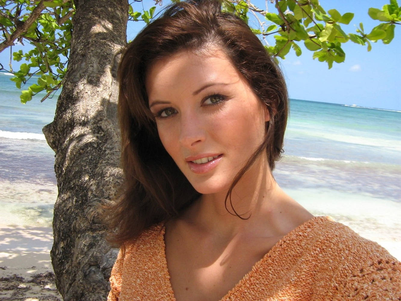 April Bowlby, tree, tropical beach, HD Desktop Wallpaper