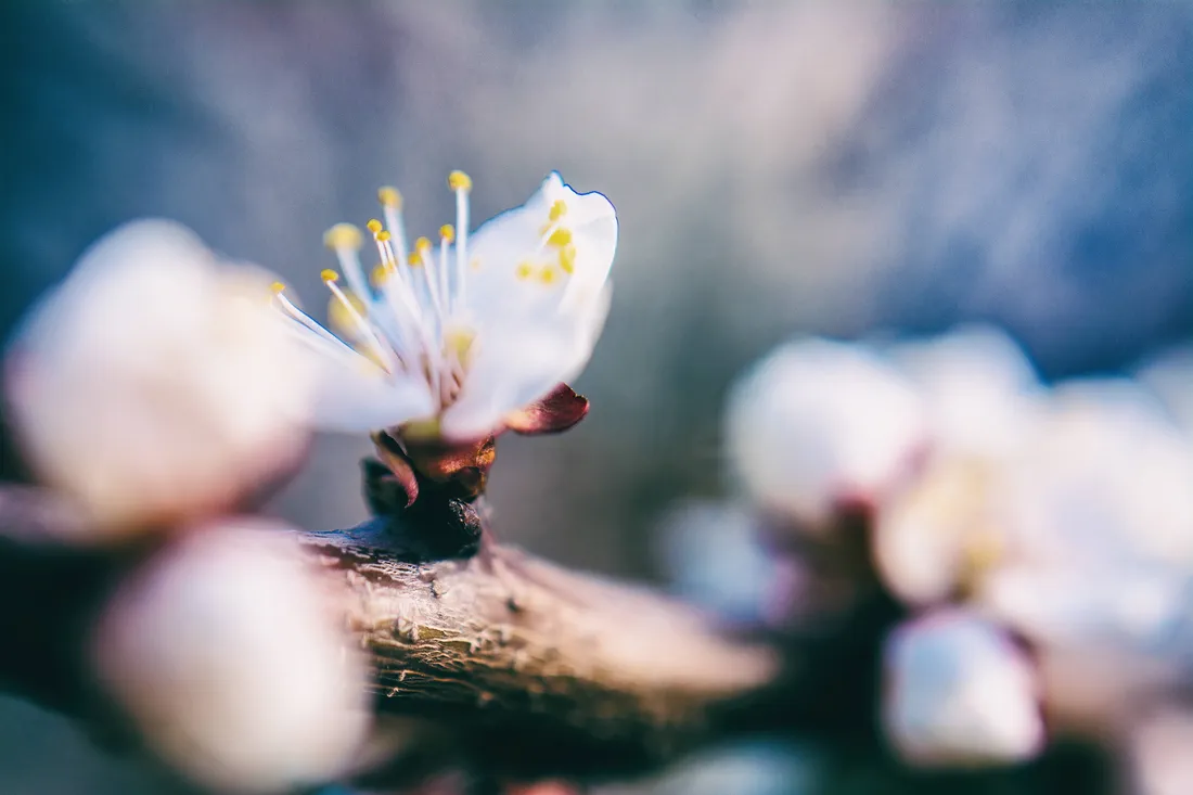 April