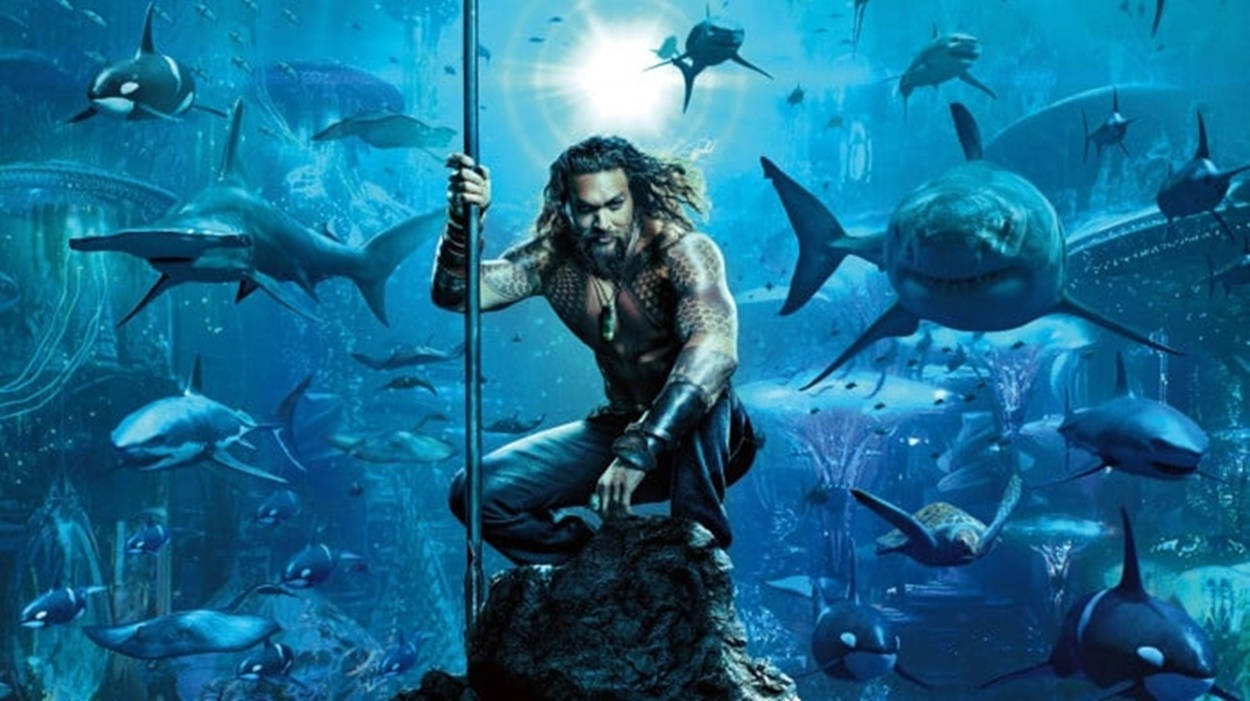 Aquaman, trident, sharks, SD Desktop Wallpaper