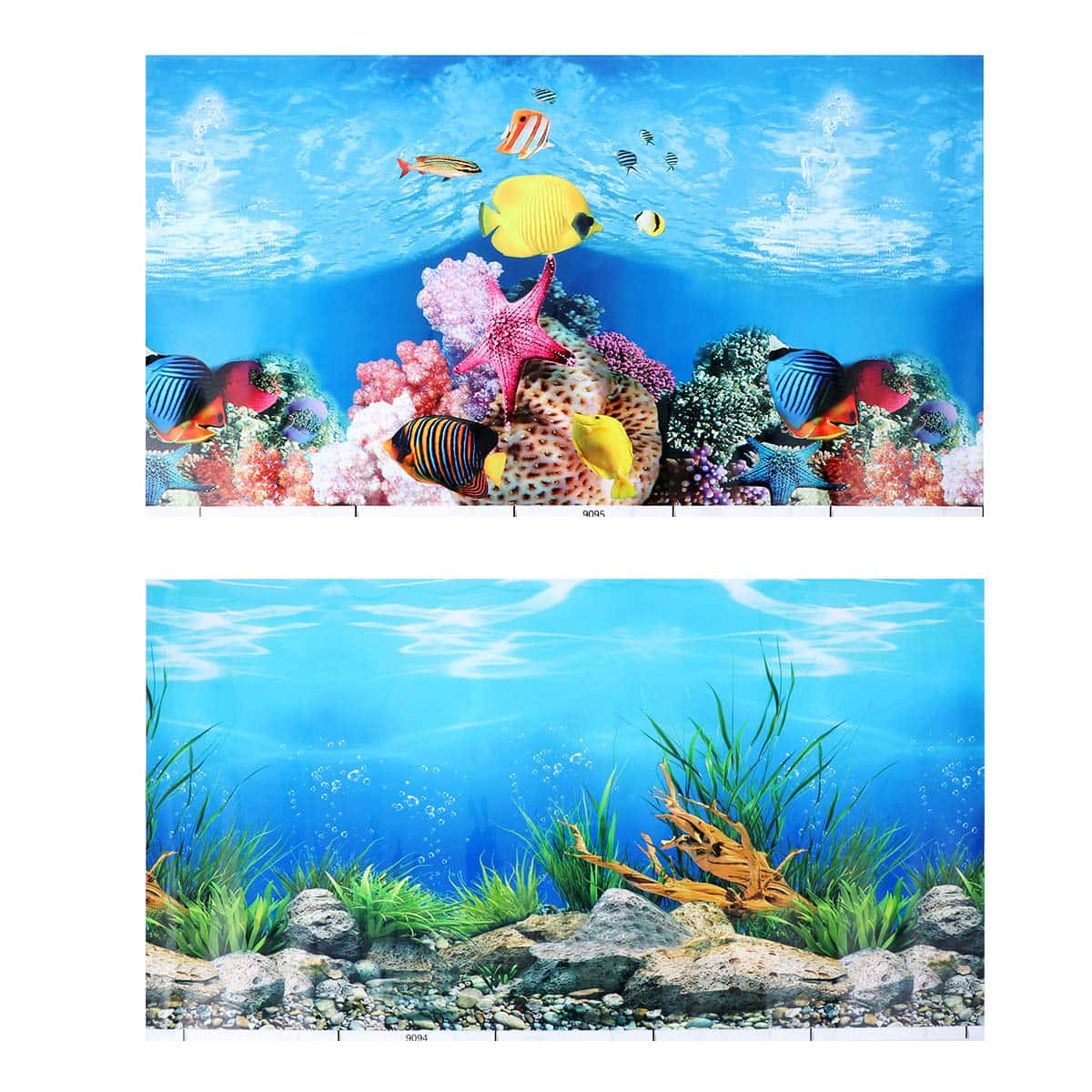 Aquarium Fish Tank, tropical fish, coral reefs, SD Desktop Wallpaper