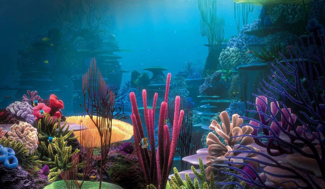 Aquarium Fish Tank, coral reef, colorful sea life, HD Desktop Wallpaper
