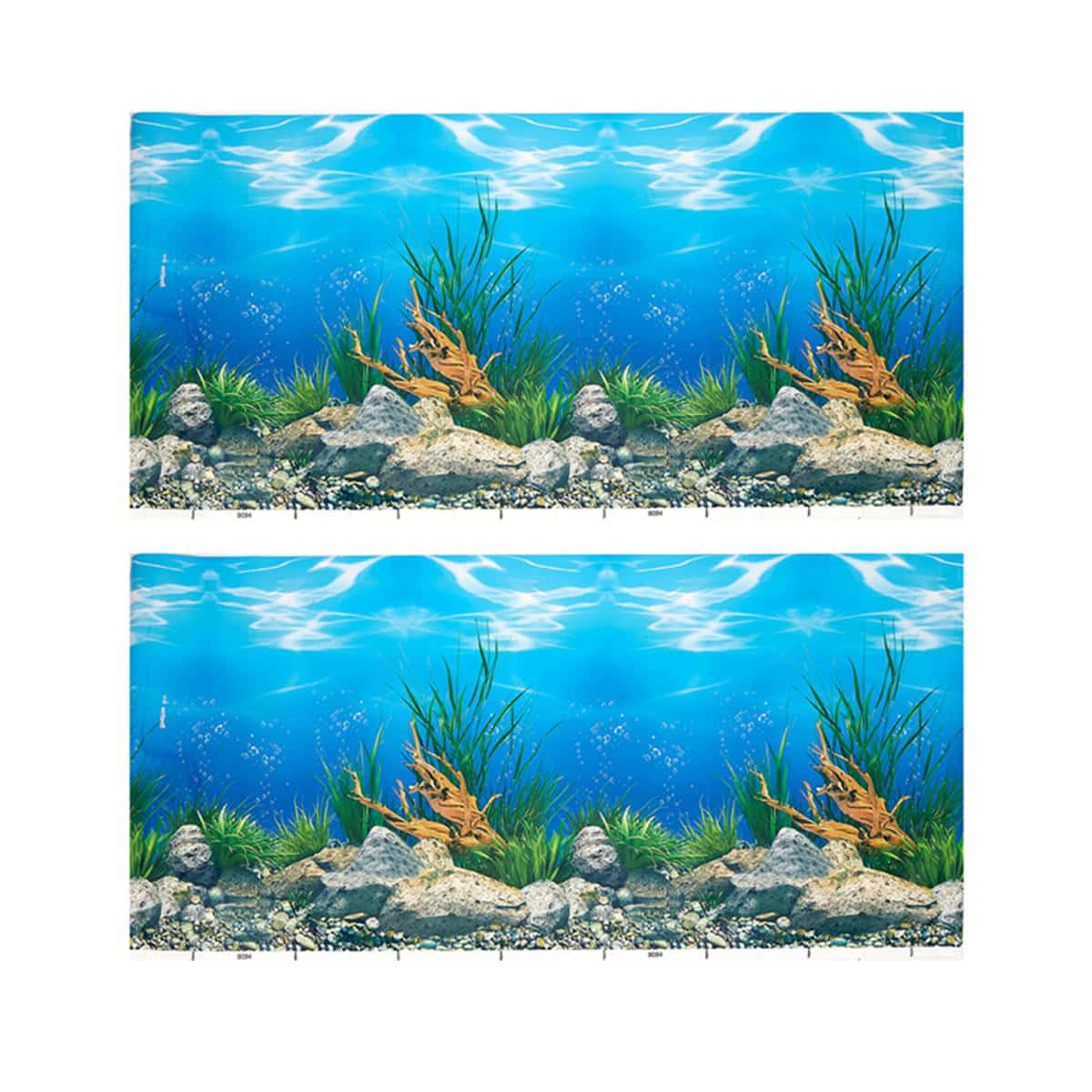 aquarium fish tank, clear blue water, green plants, SD Desktop Wallpaper