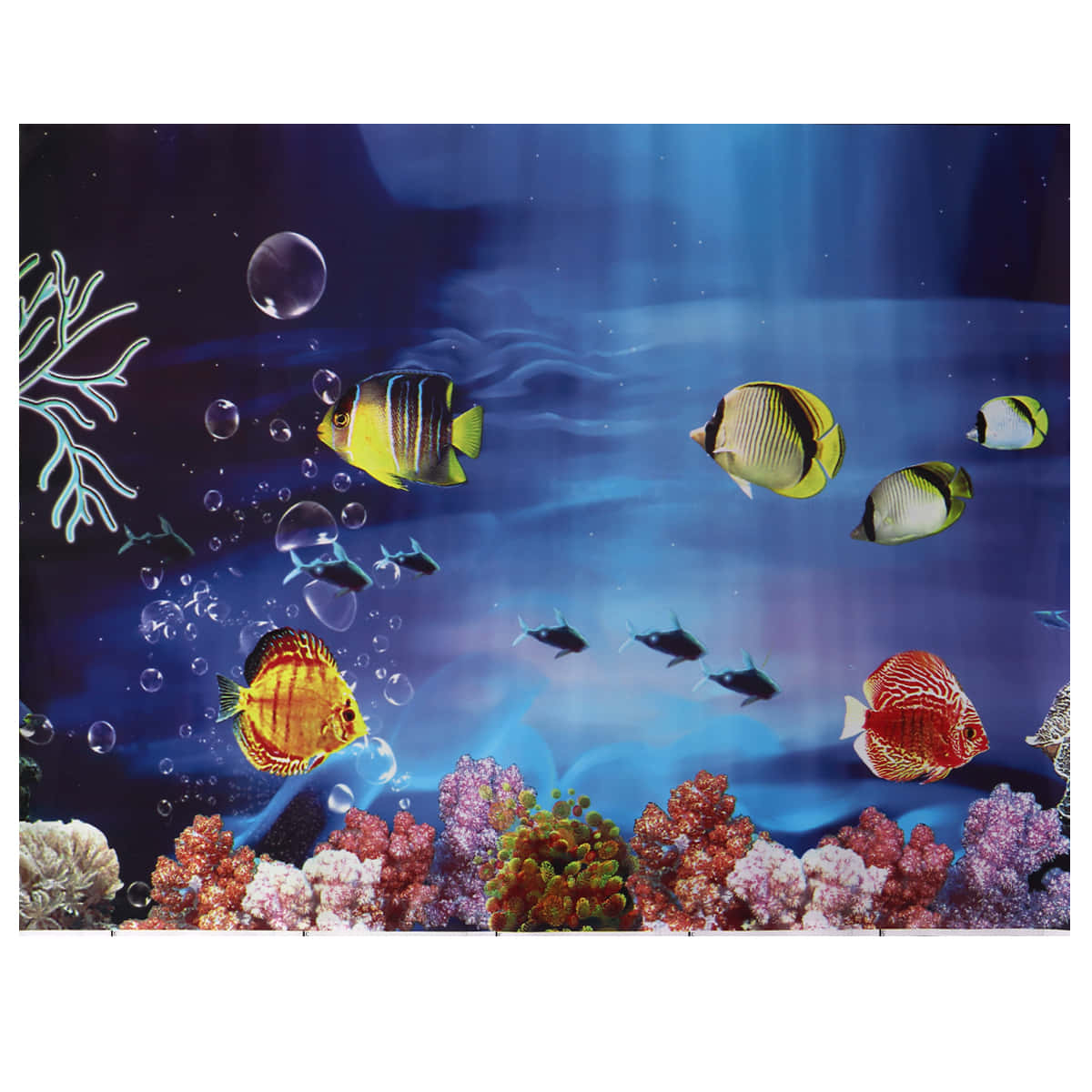 aquarium fish tank, tropical fish, colorful coral reefs, SD Desktop Wallpaper