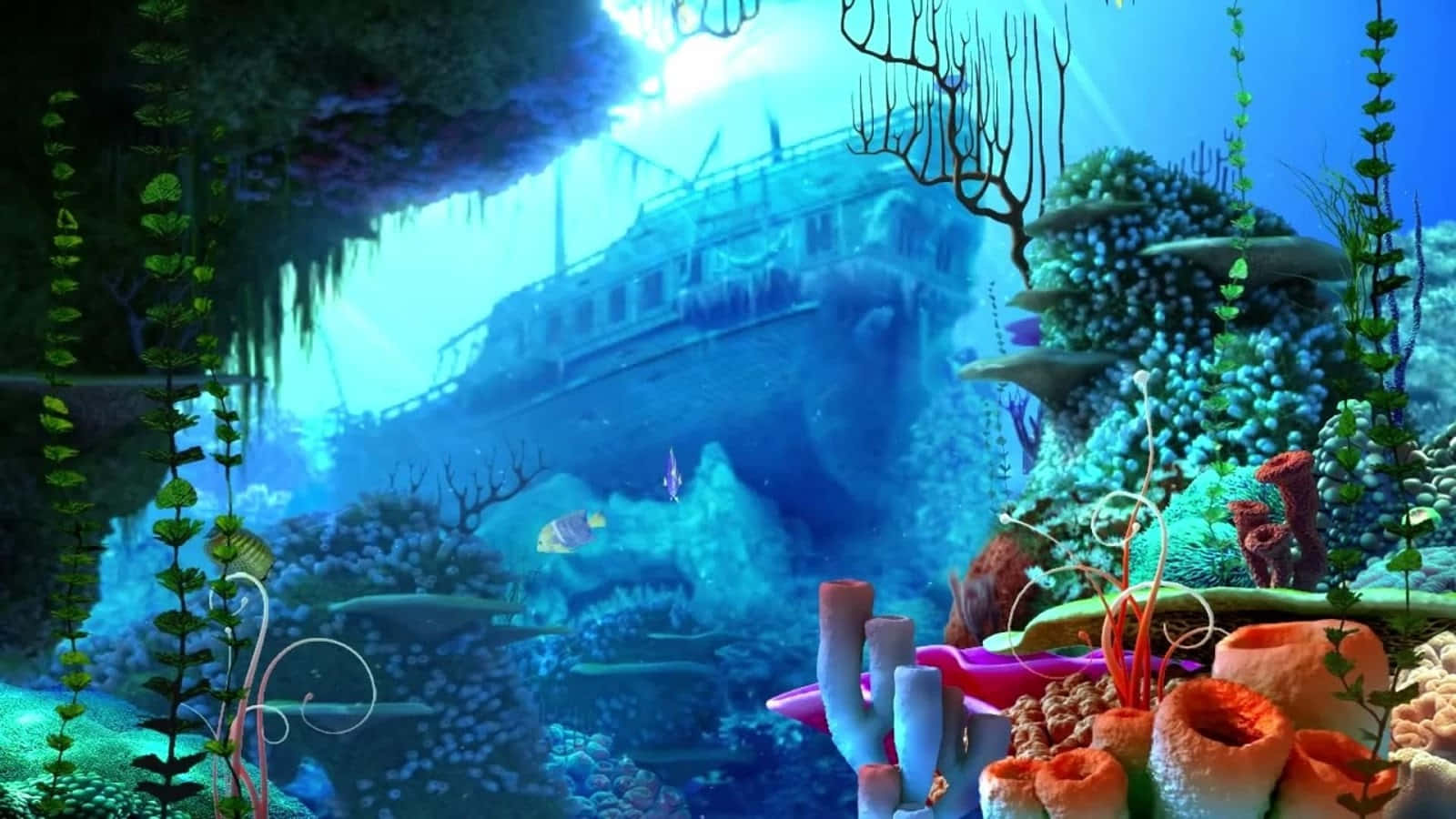 sunken ship, colorful coral, tropical fish, HD Desktop Wallpaper