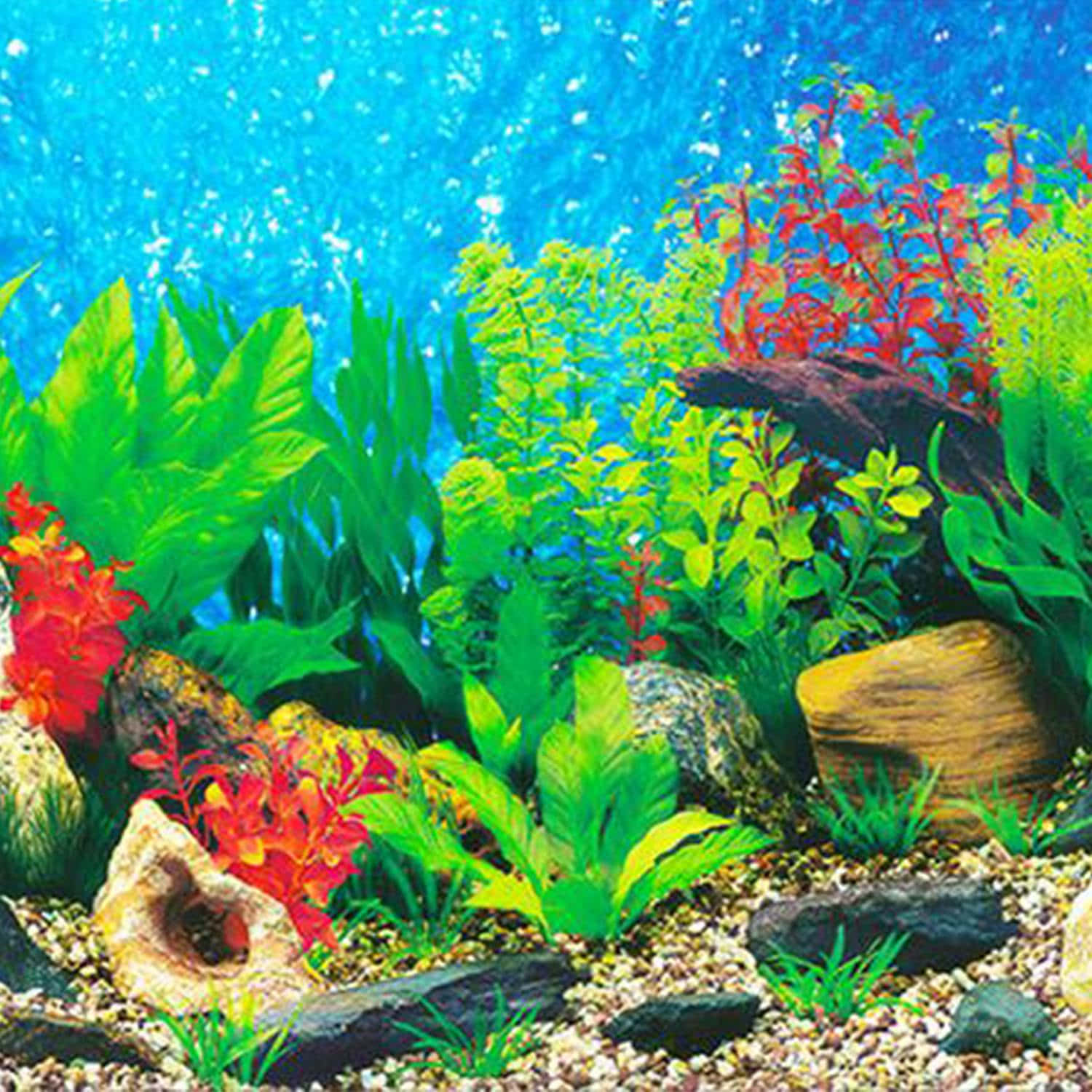 Aquarium Fish Tank, colorful plastic plants, rocks, HD Desktop Wallpaper