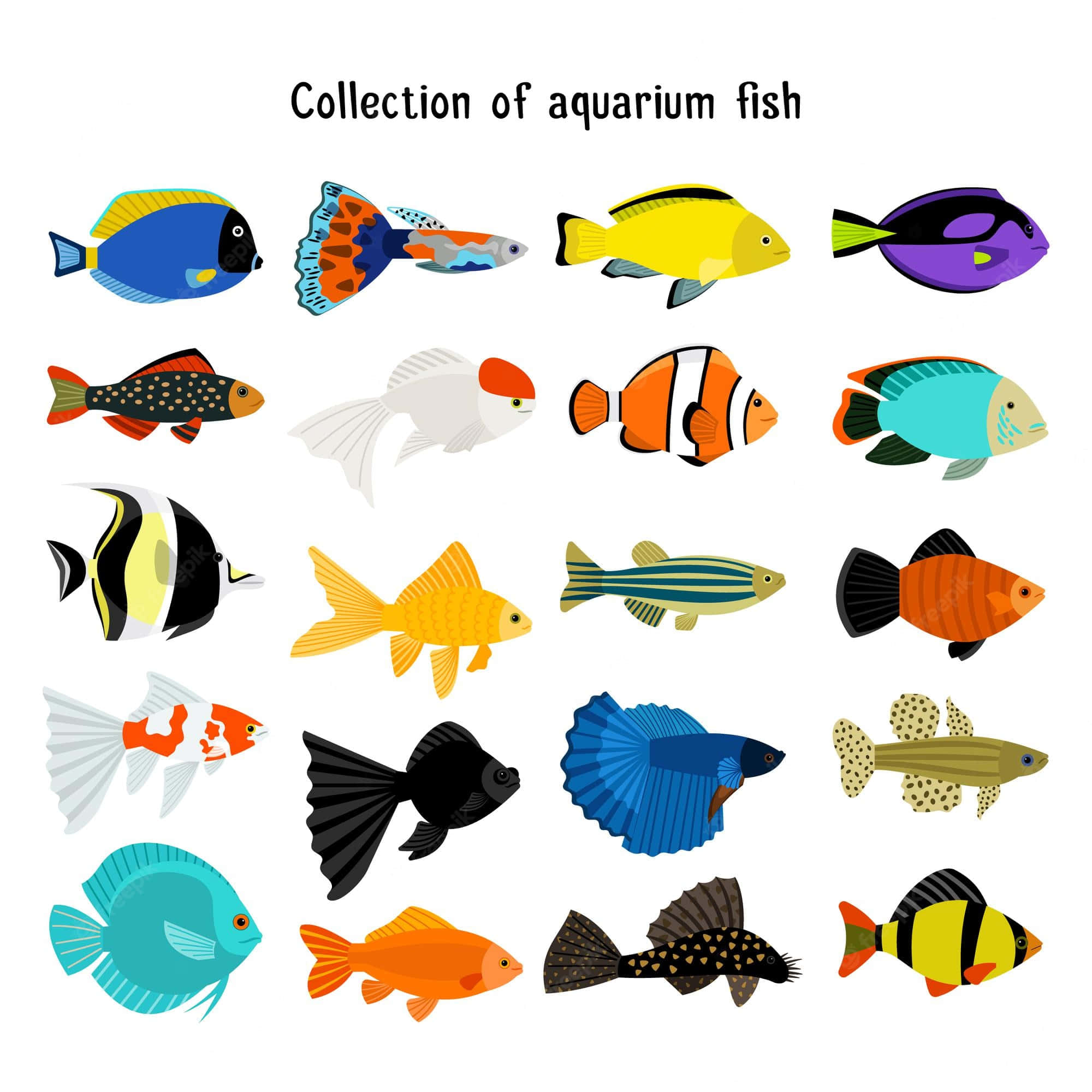 aquarium fish tank, 2000 x 2000, cartoon fish icons, Full HD Desktop Wallpaper