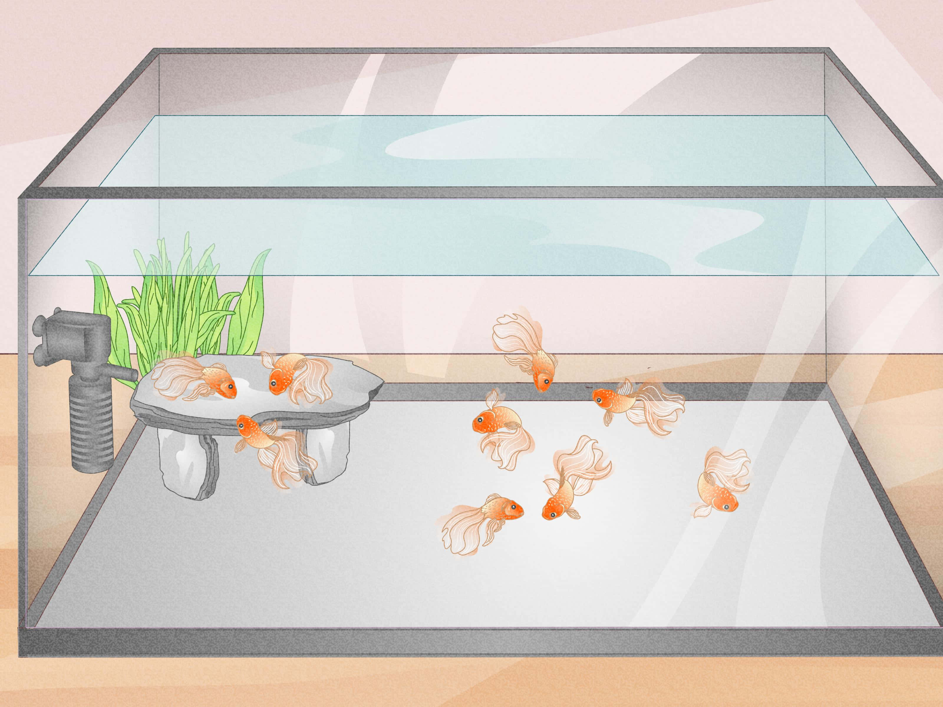 Aquarium Fish Tank, goldfish, green plants, 2K Desktop Wallpaper